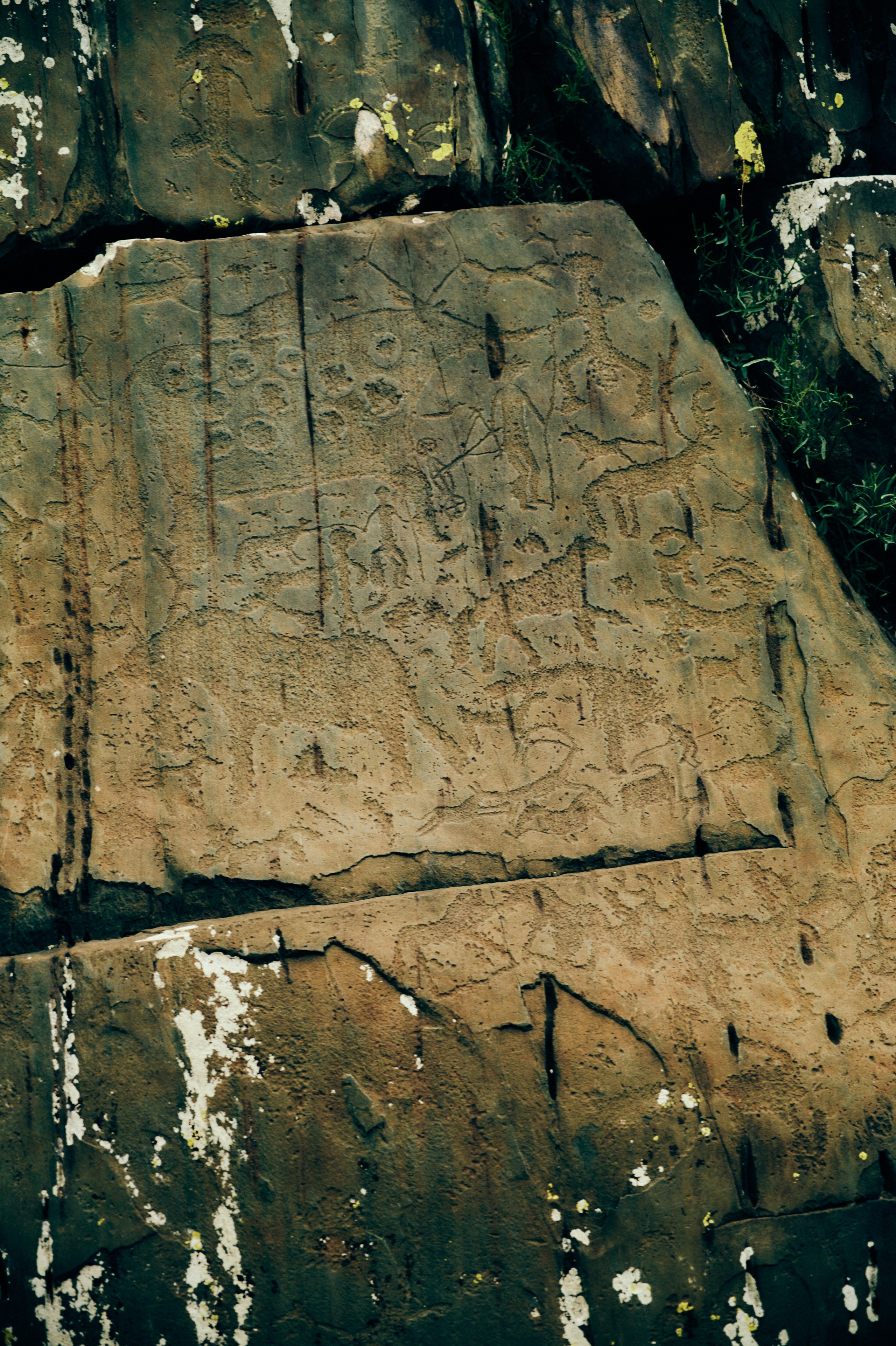 BAON x ALTAY. Фотограф Сурков Никита