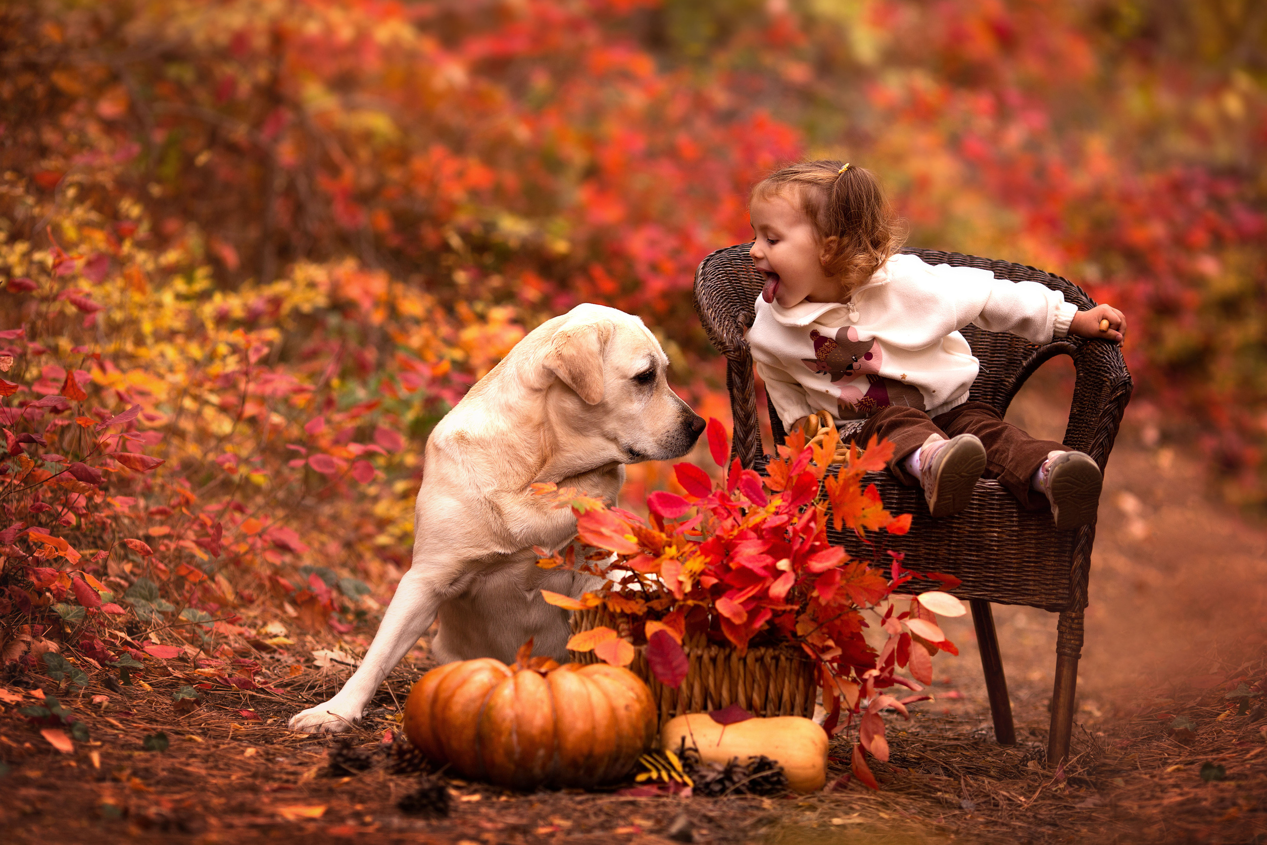 Детская Фотосессия. Семейный и детский фотограф Ansi Bay