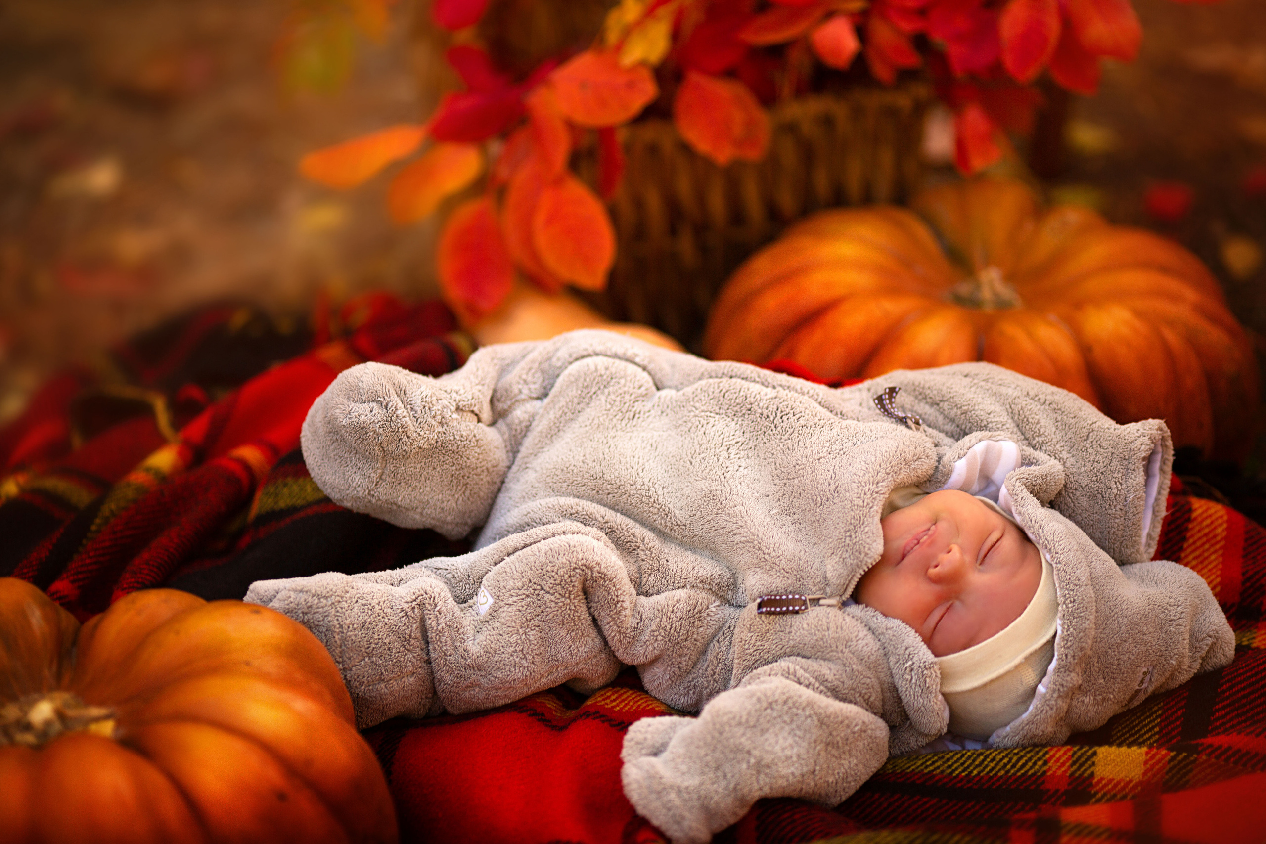 Детская Фотосессия. Семейный и детский фотограф Ansi Bay