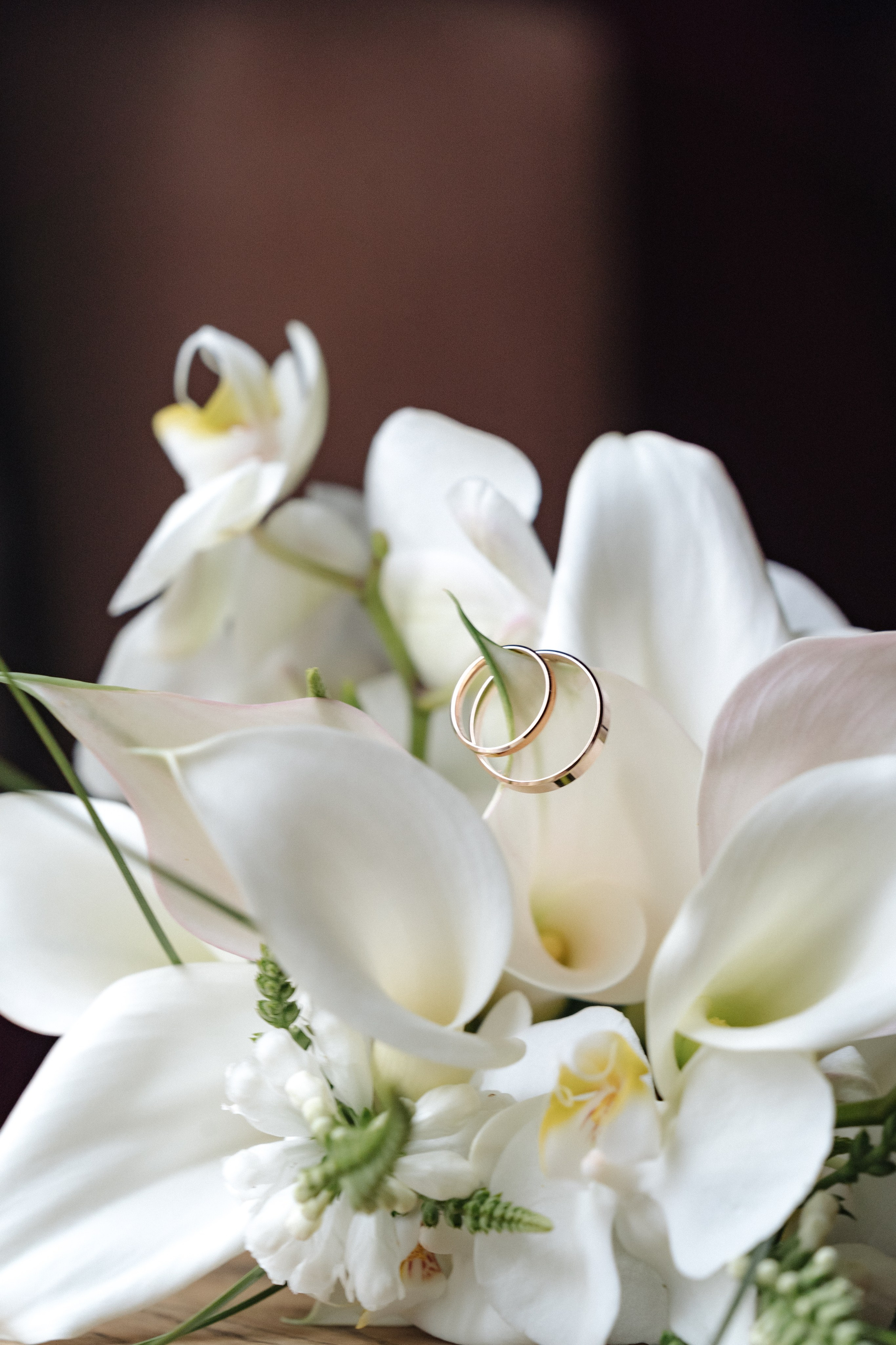 Д & A. Свадебный фотограф  Ростов-на-Дону Моска, Санкт — Петербург