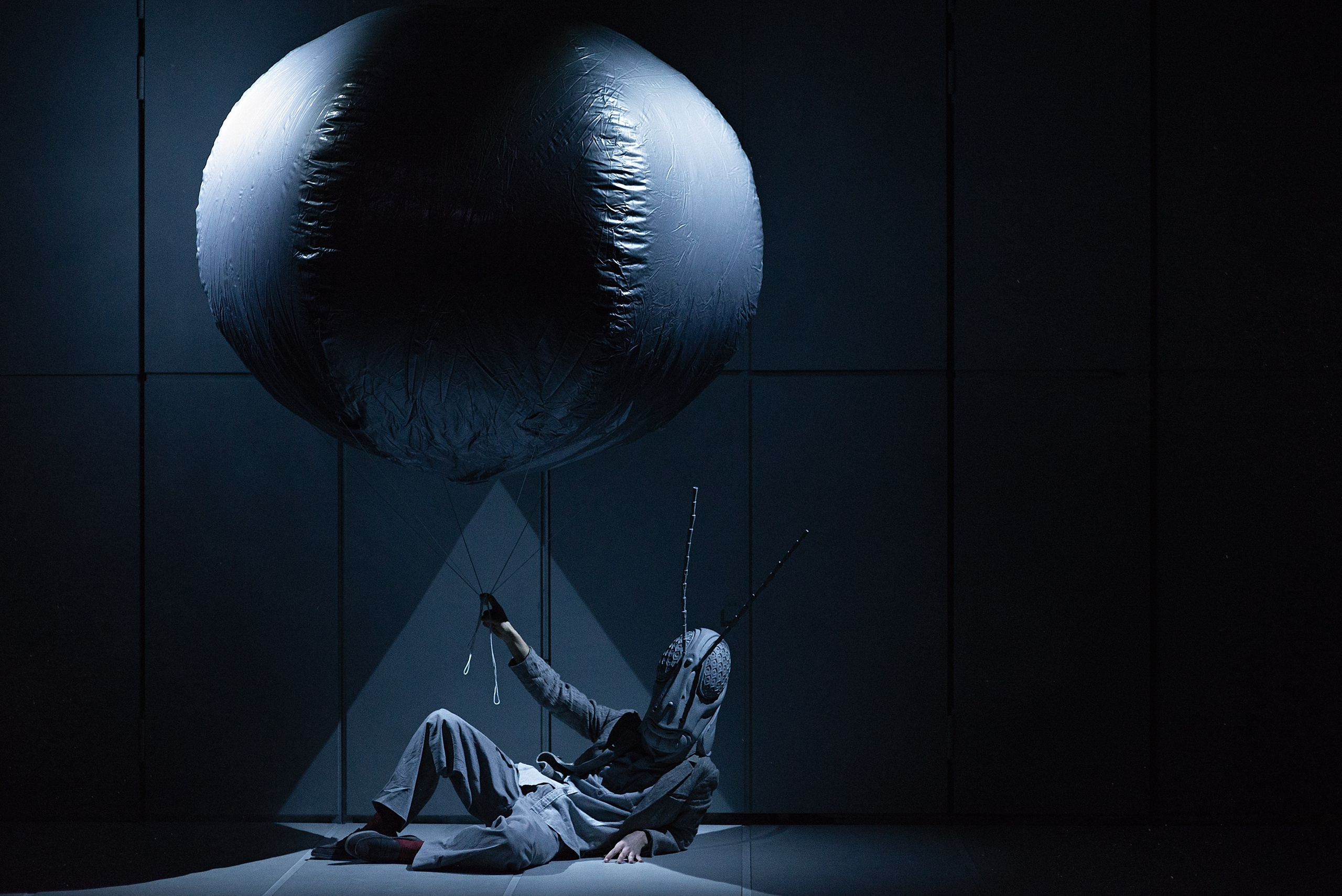 «СВЕРЧОК». Фотограф Александра Дмитриевская