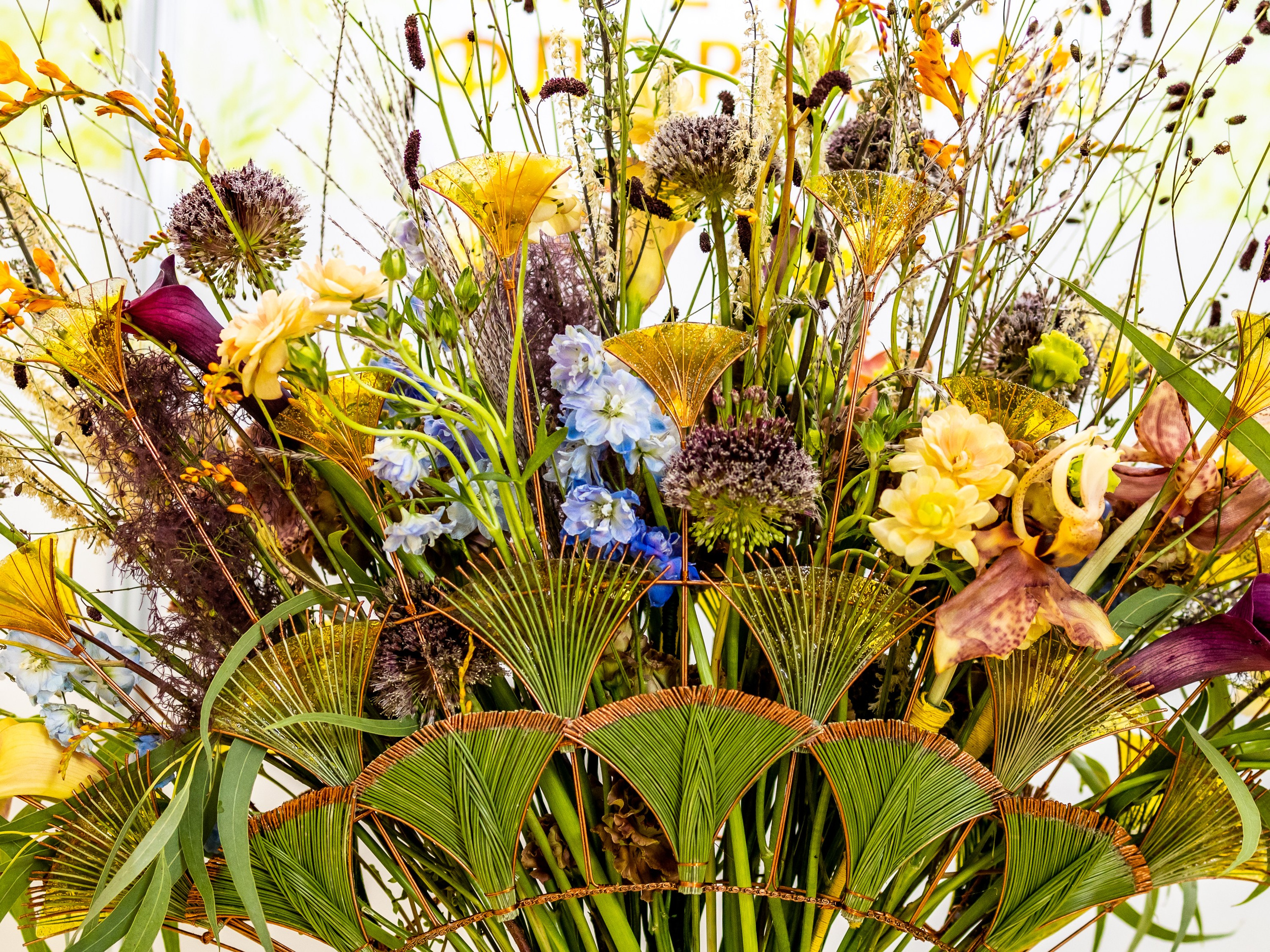 Цветы-Экспо 2024. Фотосессии и репортаж — Фотограф в Москве — Рина Серёгина