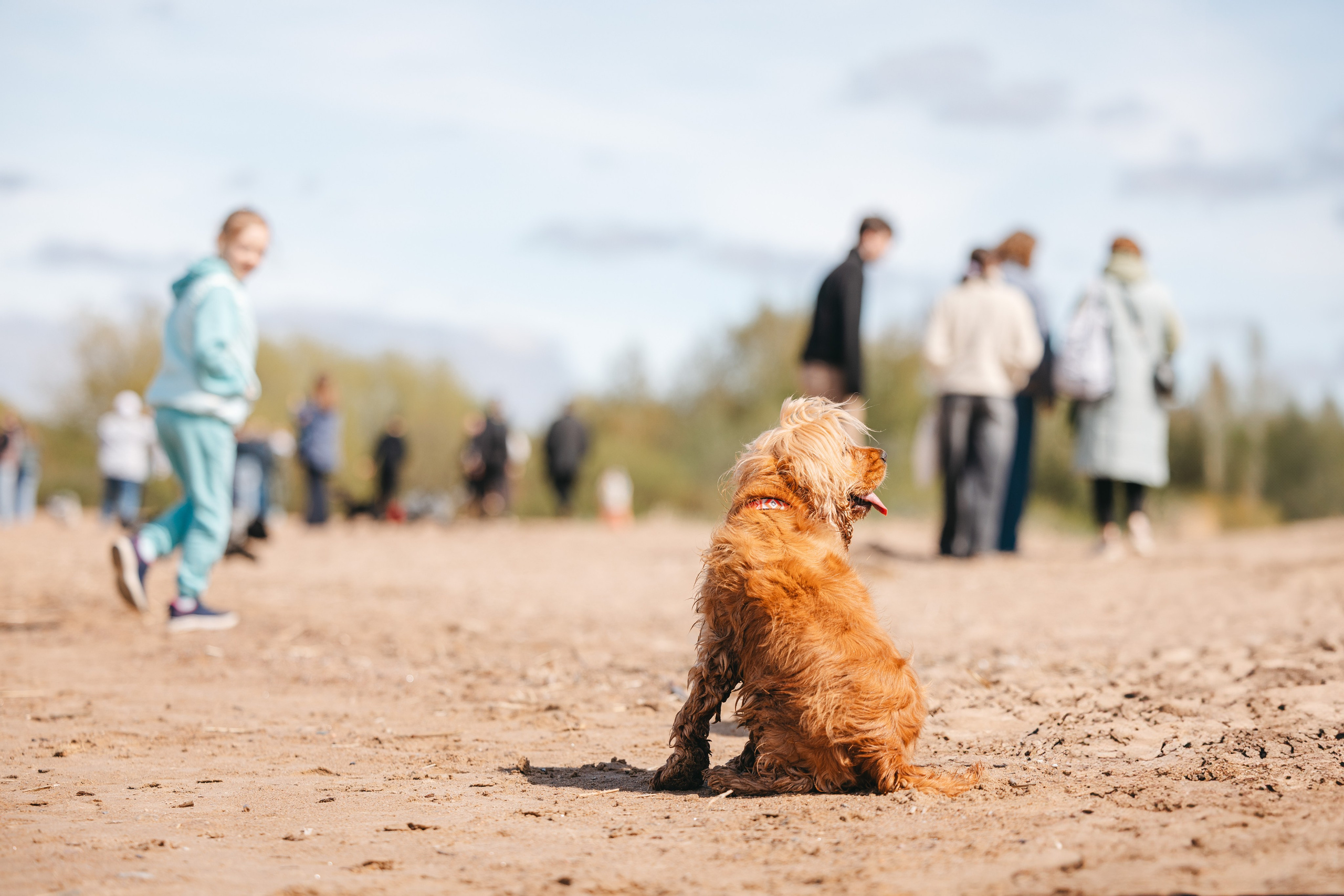 Спанимания. Фотограф анималист Осипчикова Мария