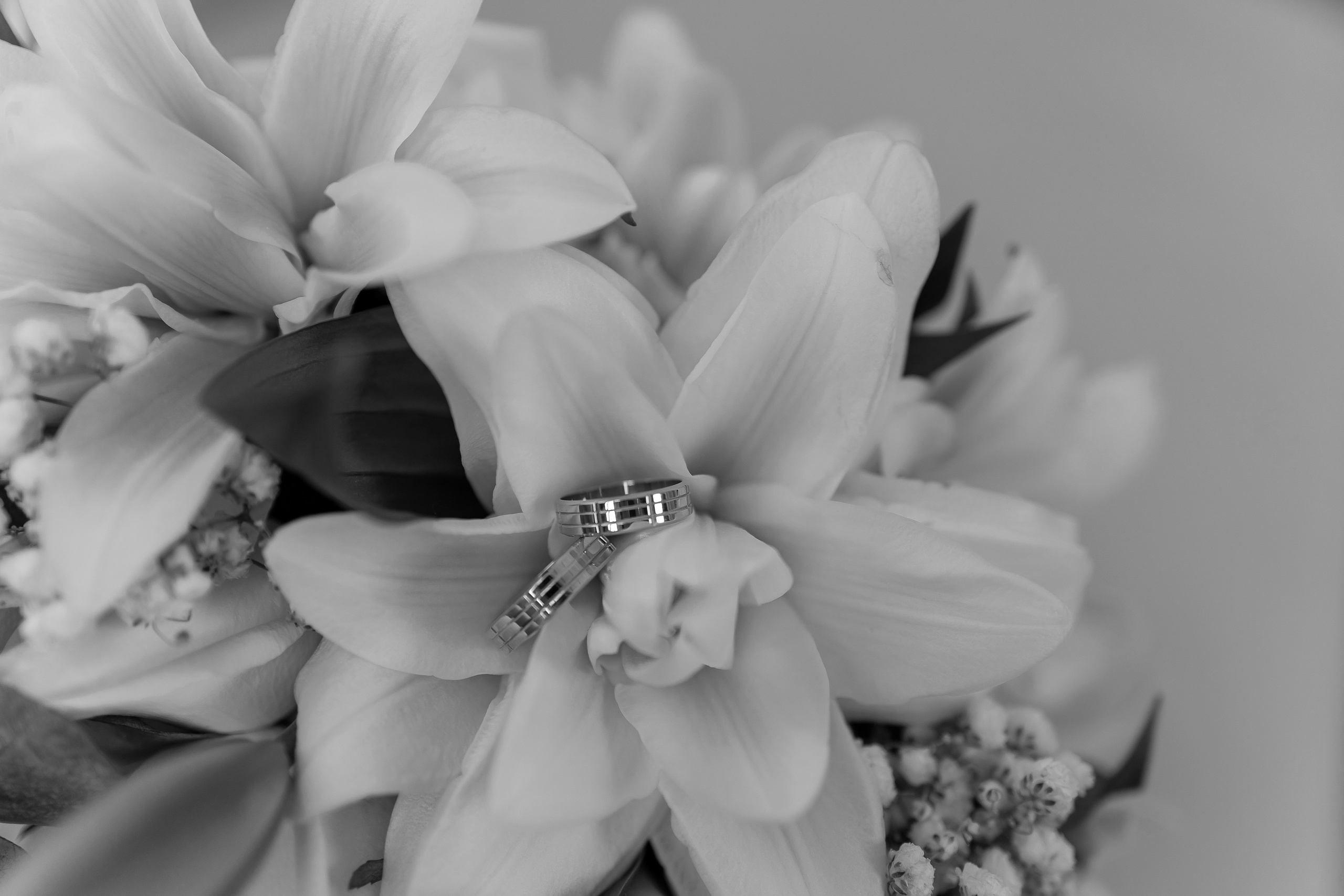 Jane & Artem. Anneta Benthen | Photographer