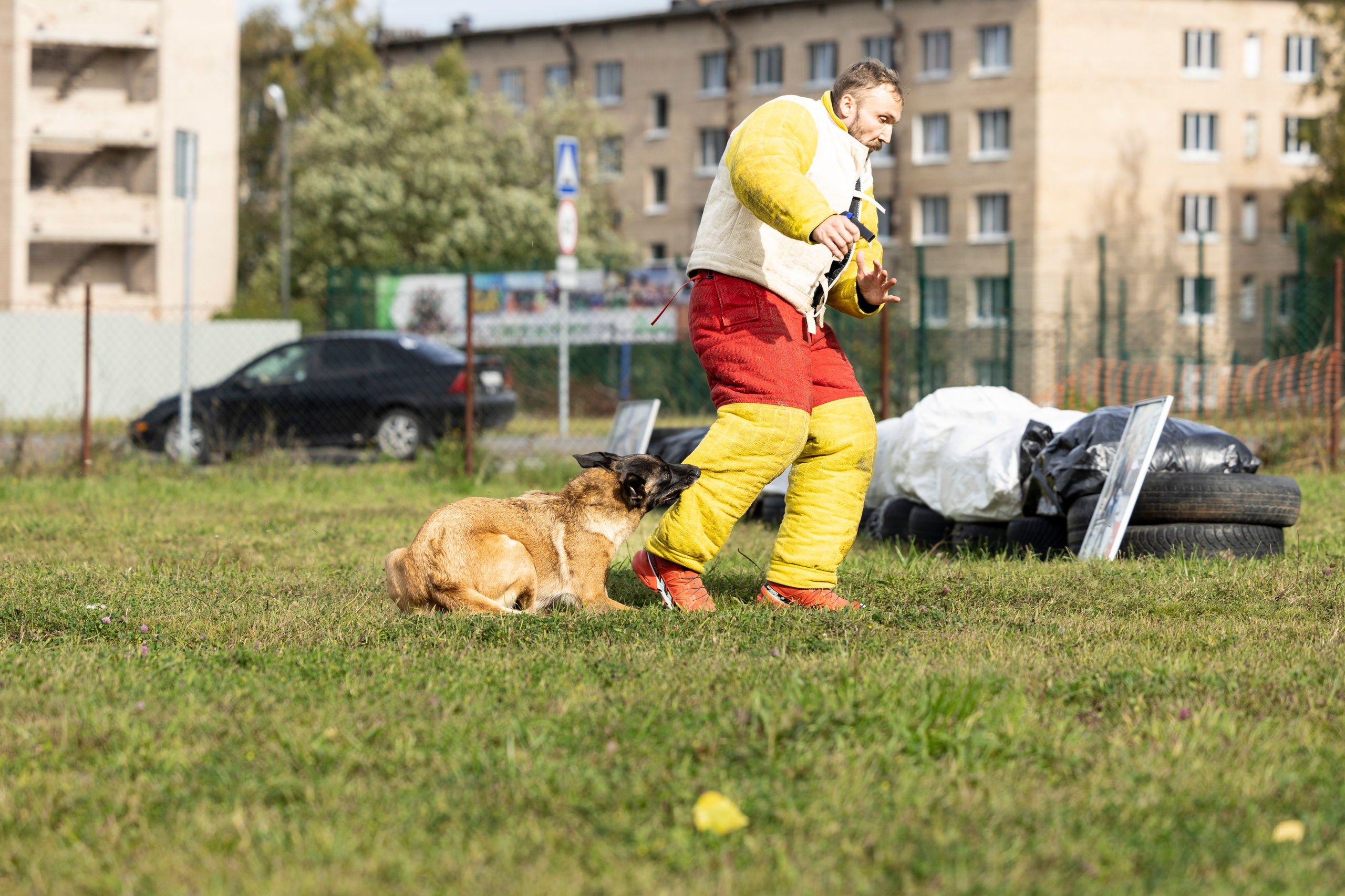 Испытания по Мондьорингу г. Пушкин. Фотограф-анималист Анна Маринич