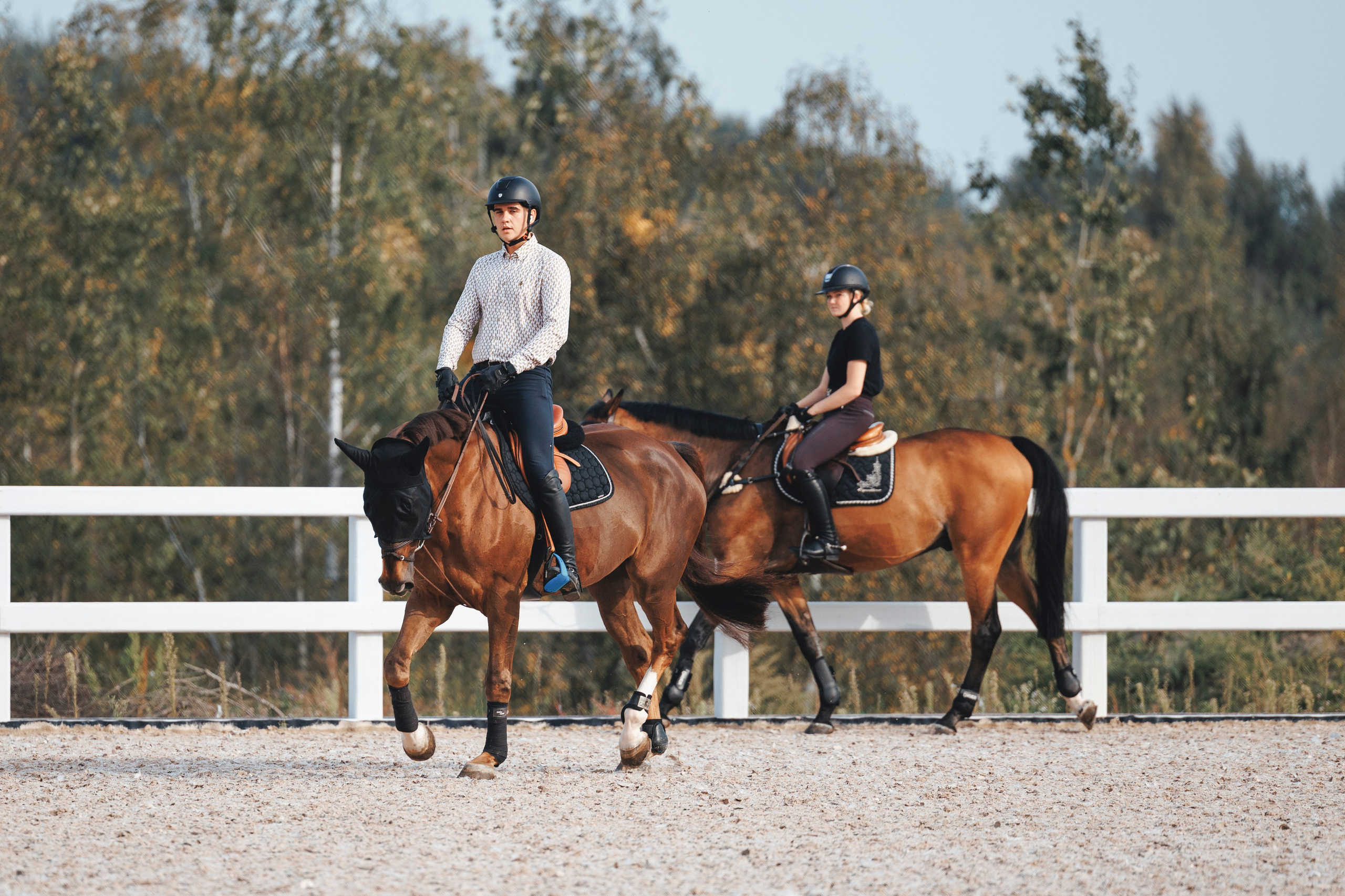 Конкур. Фотограф-анималист Анна Маринич