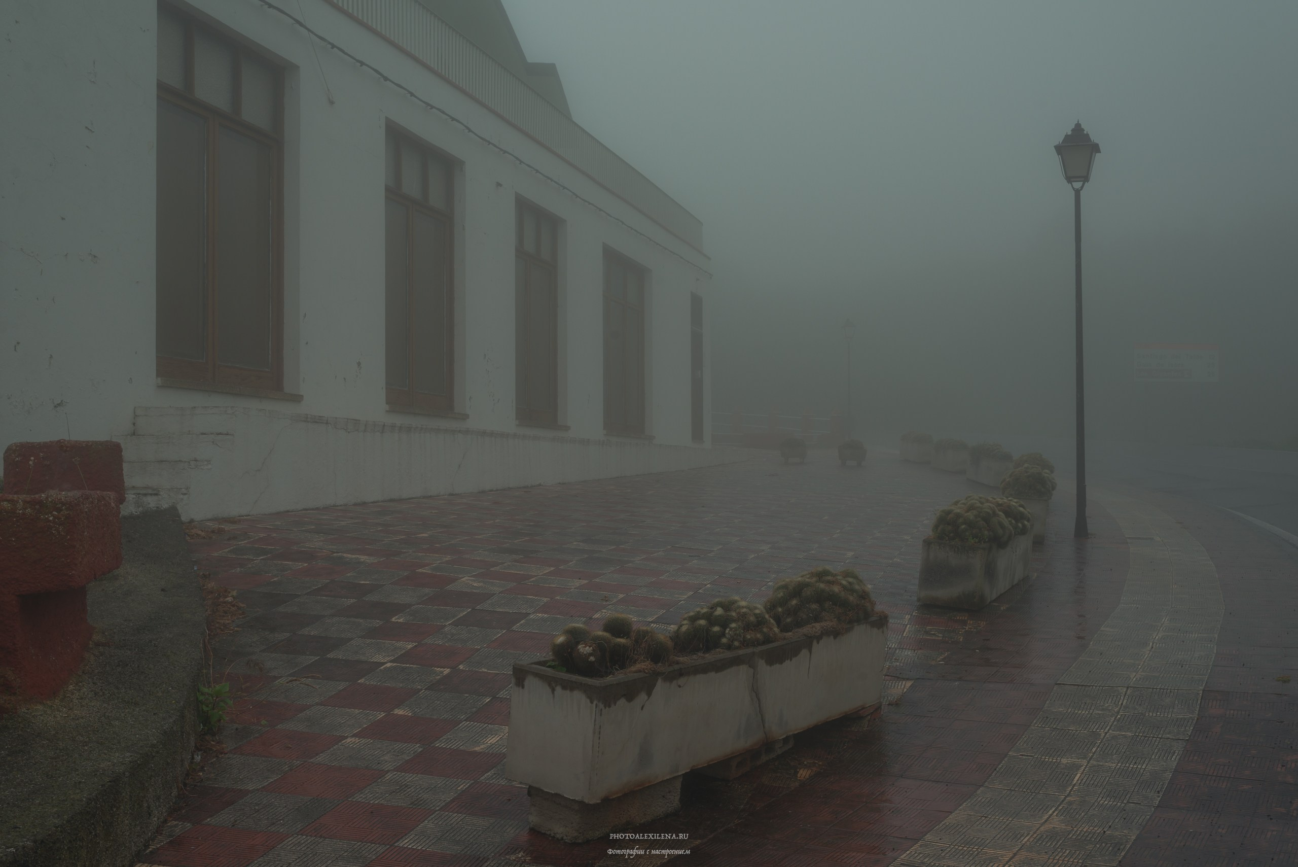 Остров Тенерифе