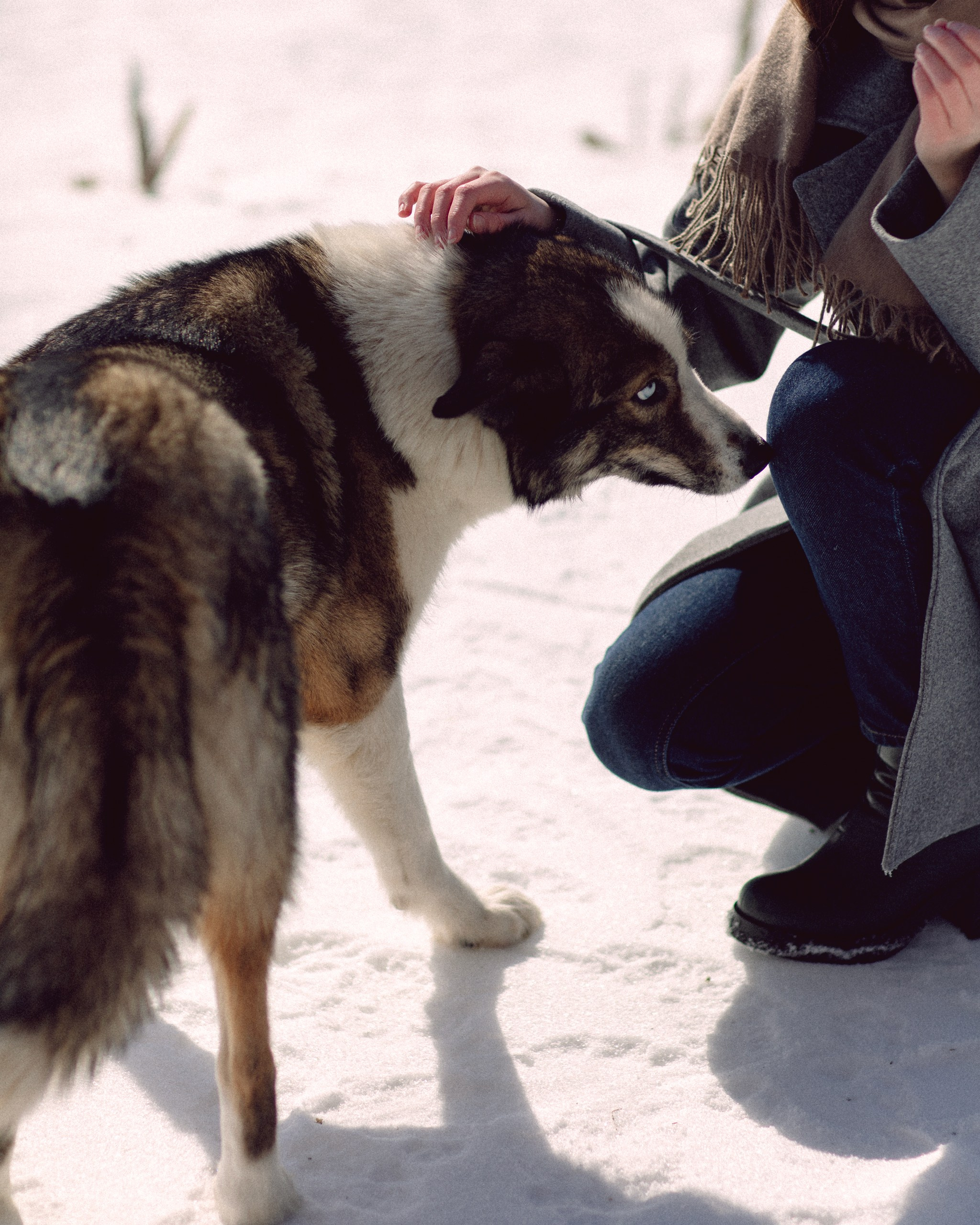 SOFIA. Фотограф города Уральск Ольга Василец