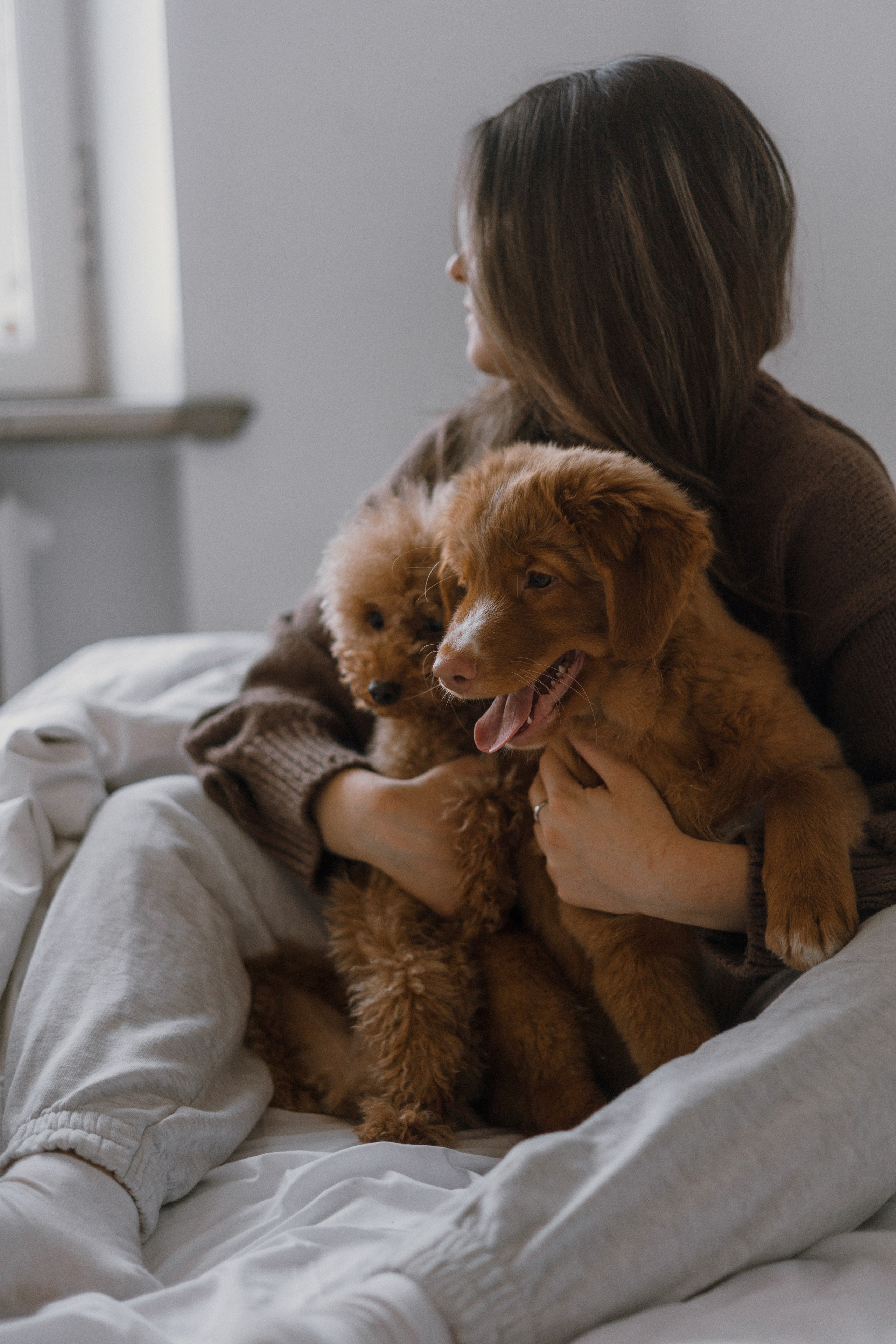 Маша, Одди и Нэвил. Фотограф-анималист Богданова Полина