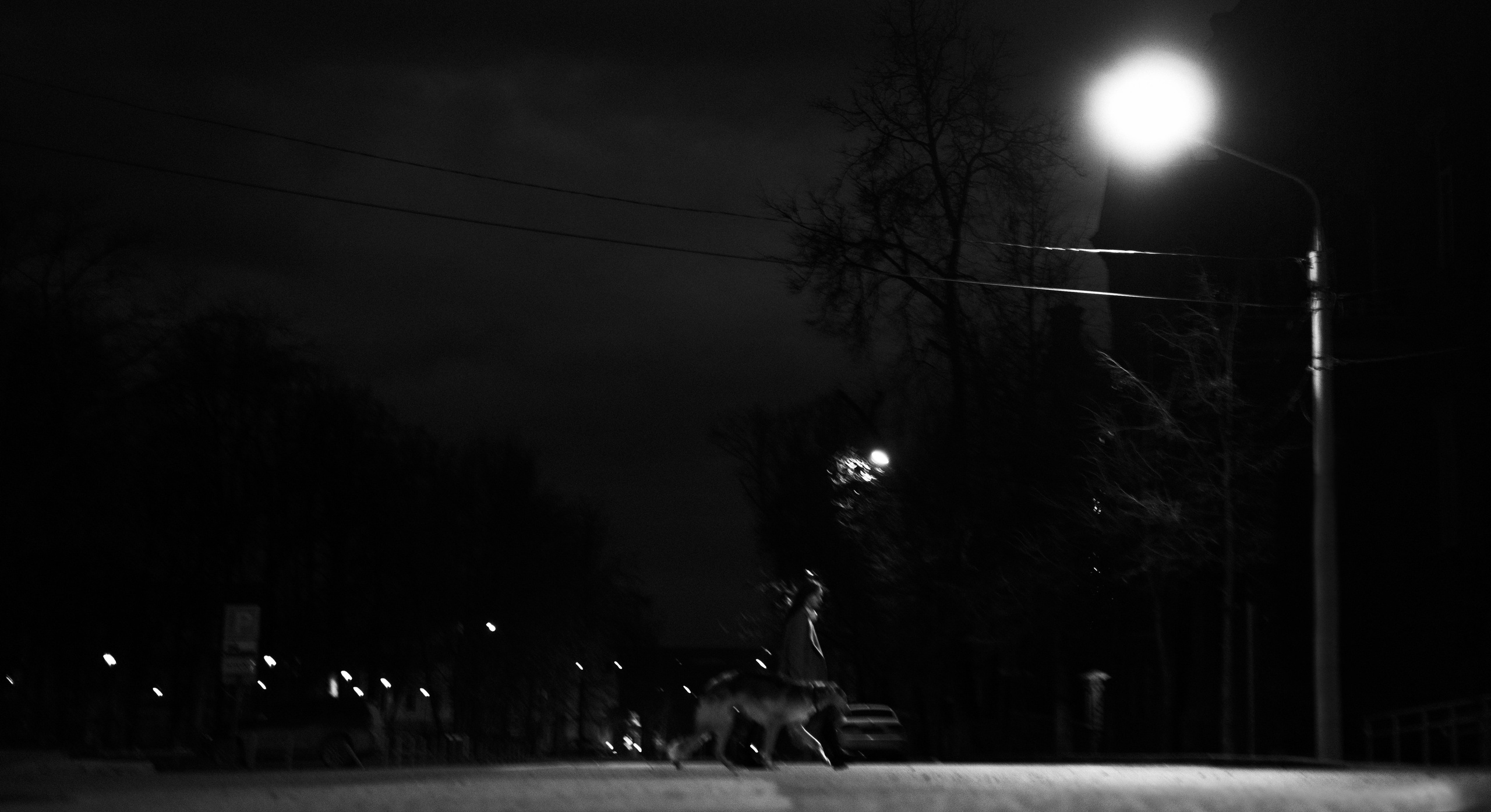 Алёна и Леви. Фотограф-анималист Богданова Полина