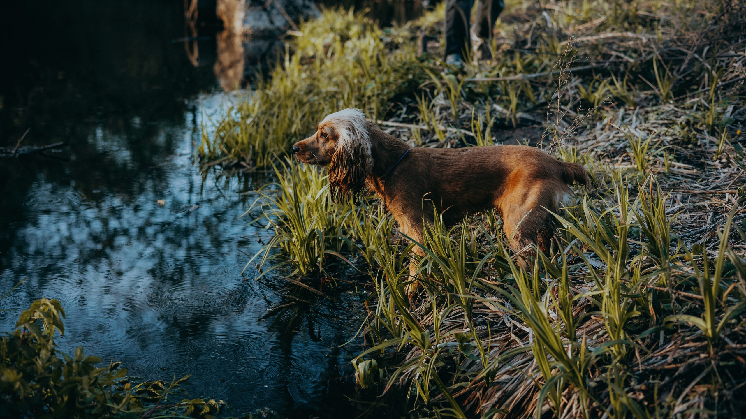 Аня и Юта. Фотограф-анималист Богданова Полина