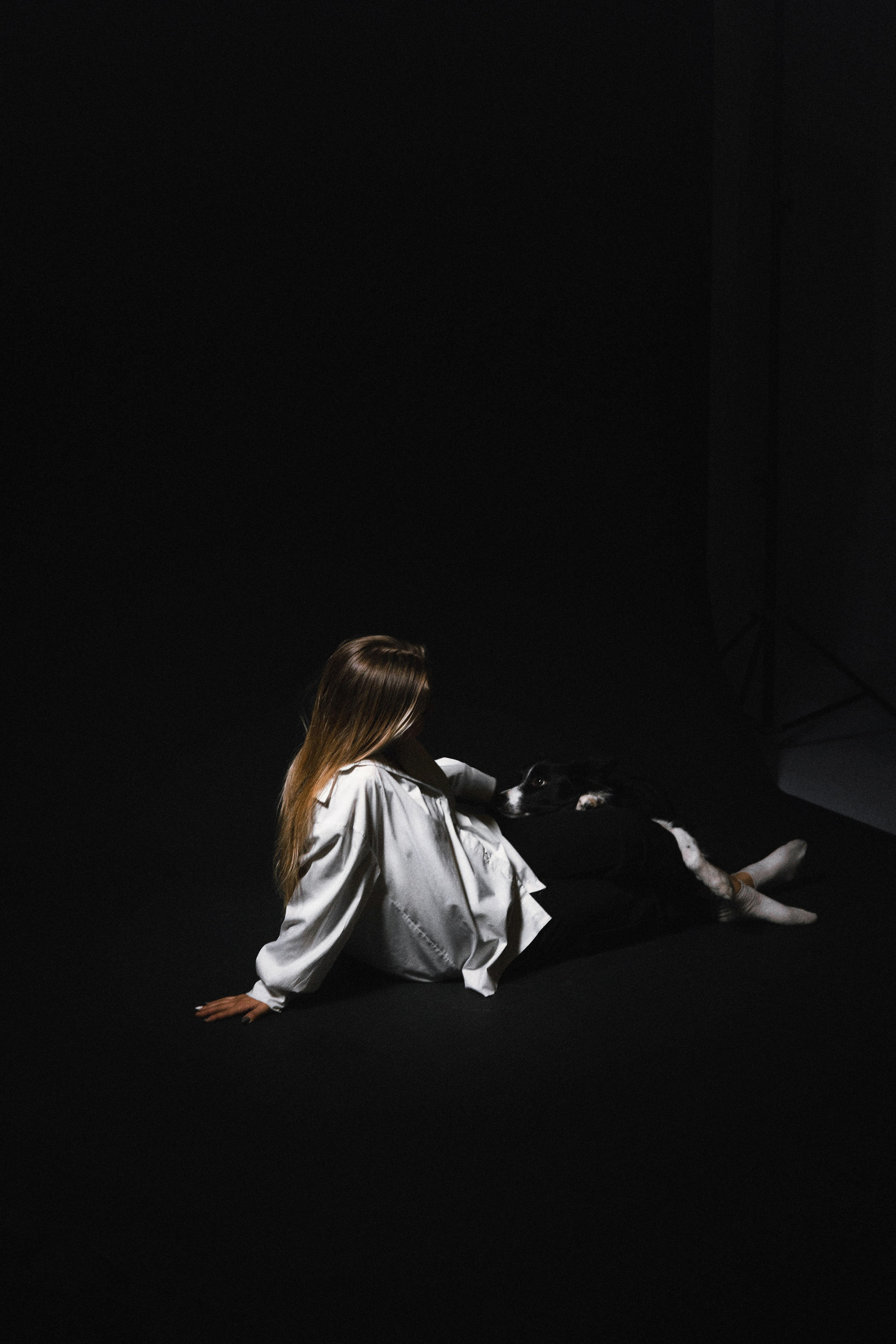 Даша, Дже и Рива. Фотограф-анималист Богданова Полина