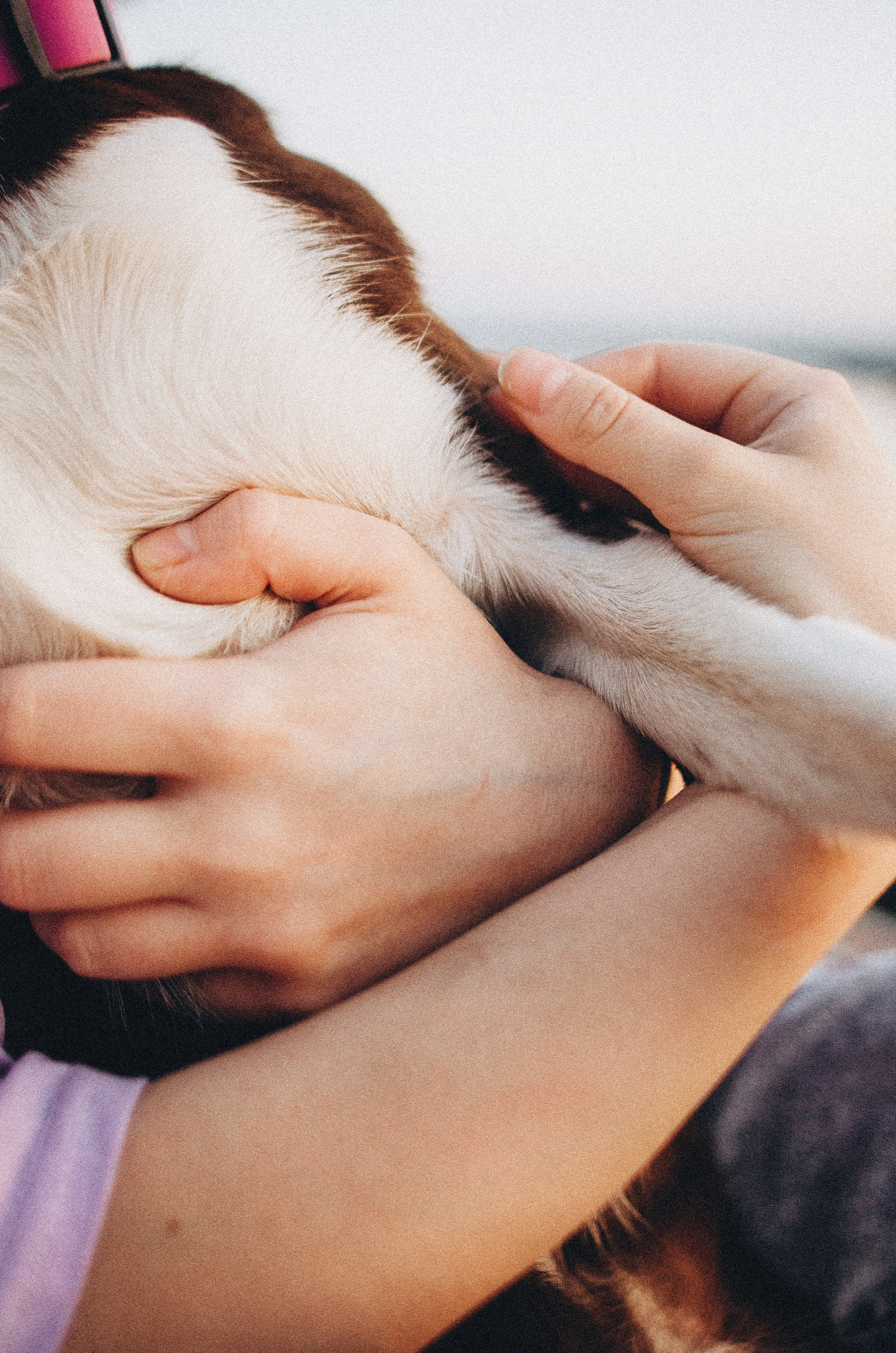 Вика и Эсса. Фотограф-анималист Богданова Полина