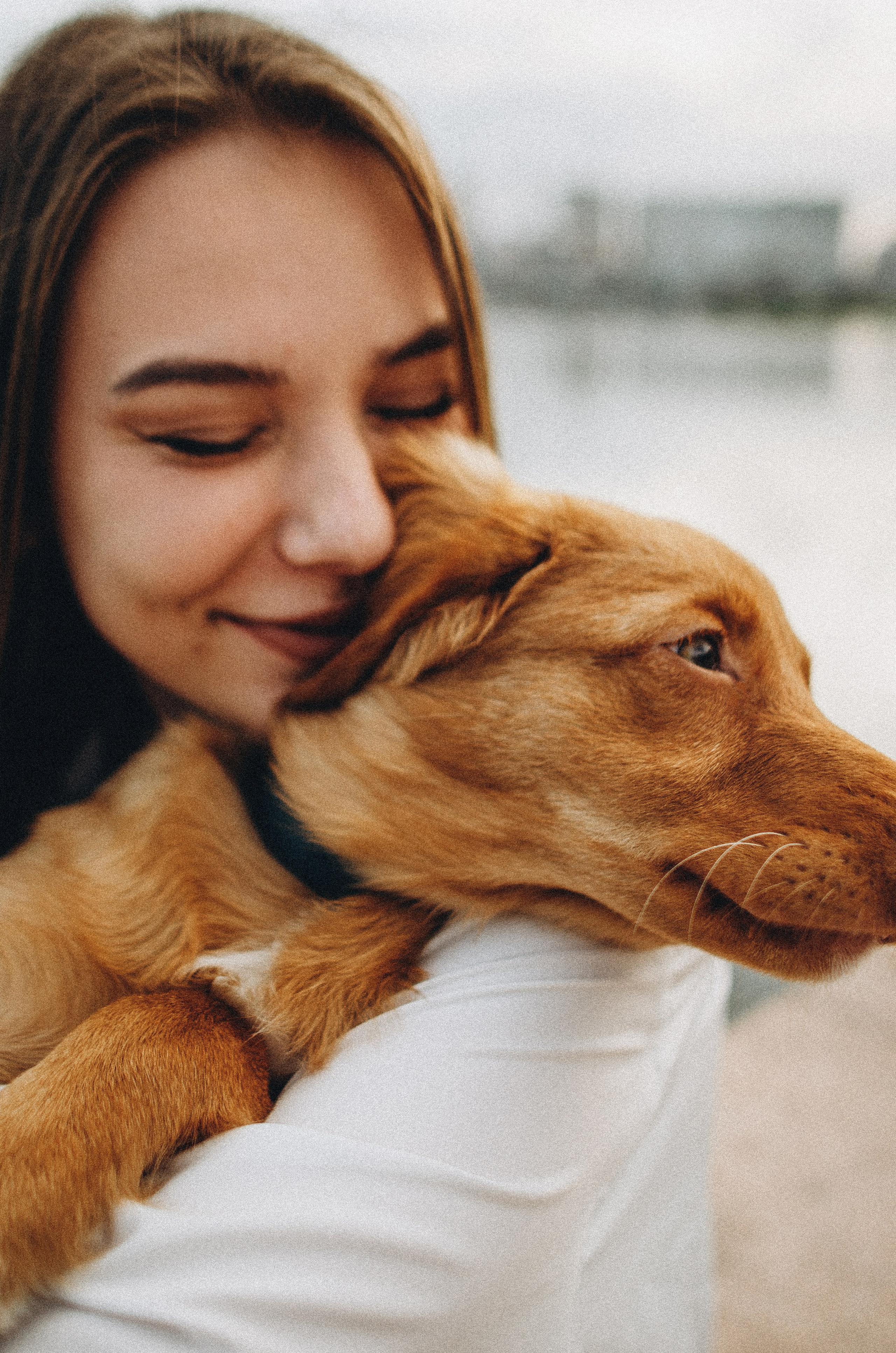 Вика и Хардин. Фотограф-анималист Богданова Полина