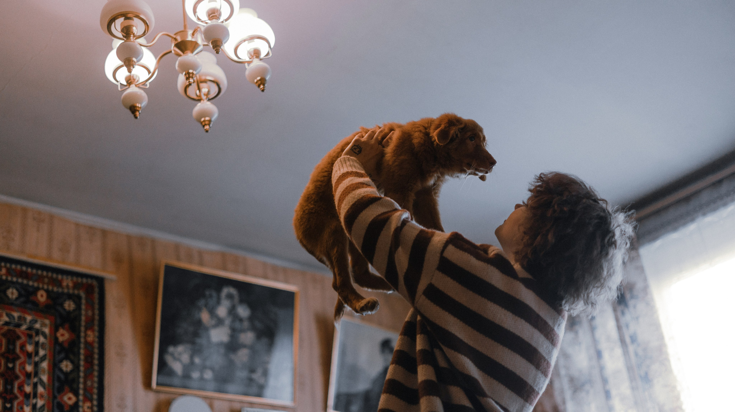 Лера, Реджи и Ральф. Фотограф-анималист Богданова Полина