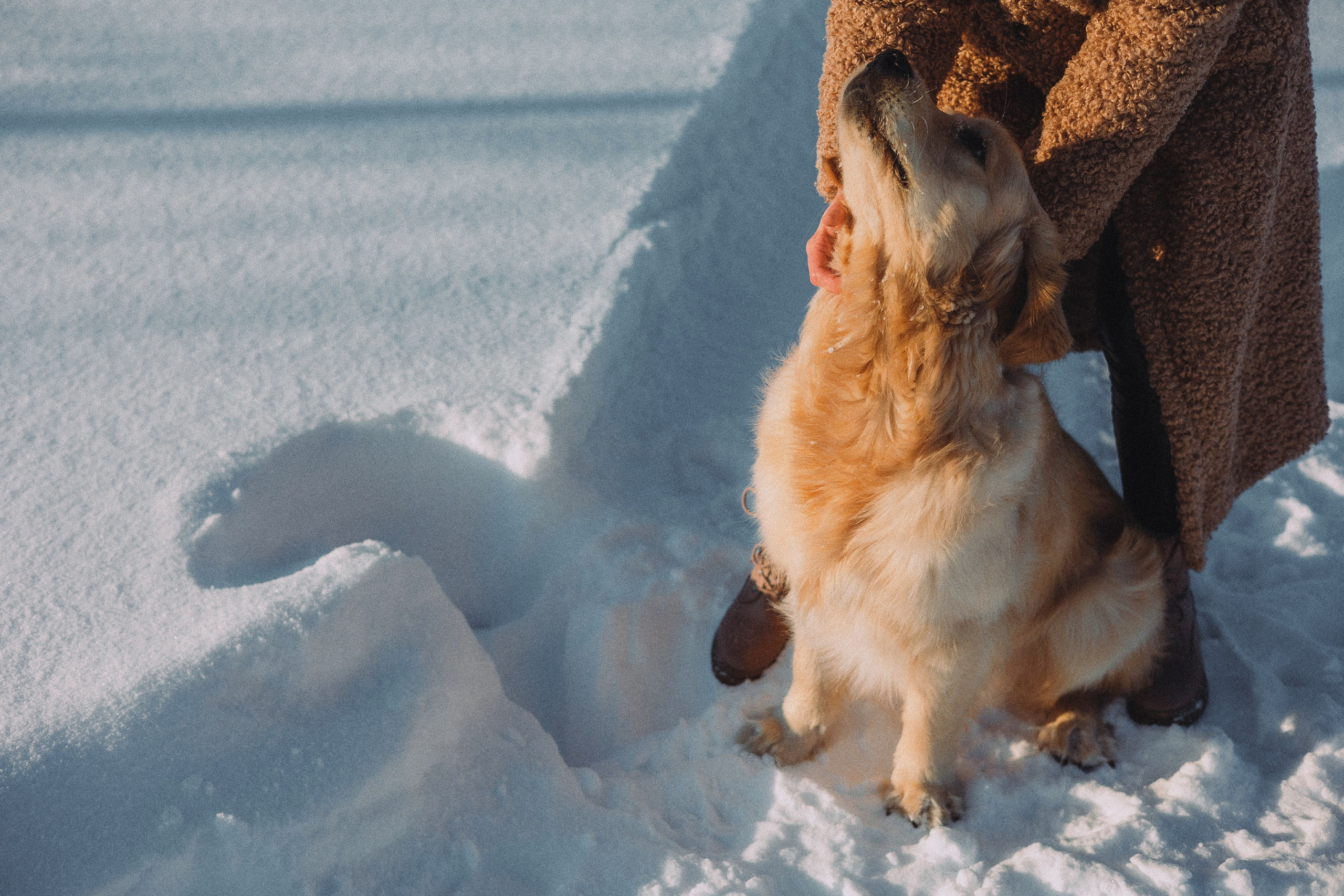 Лена и Декстер. Фотограф-анималист Богданова Полина