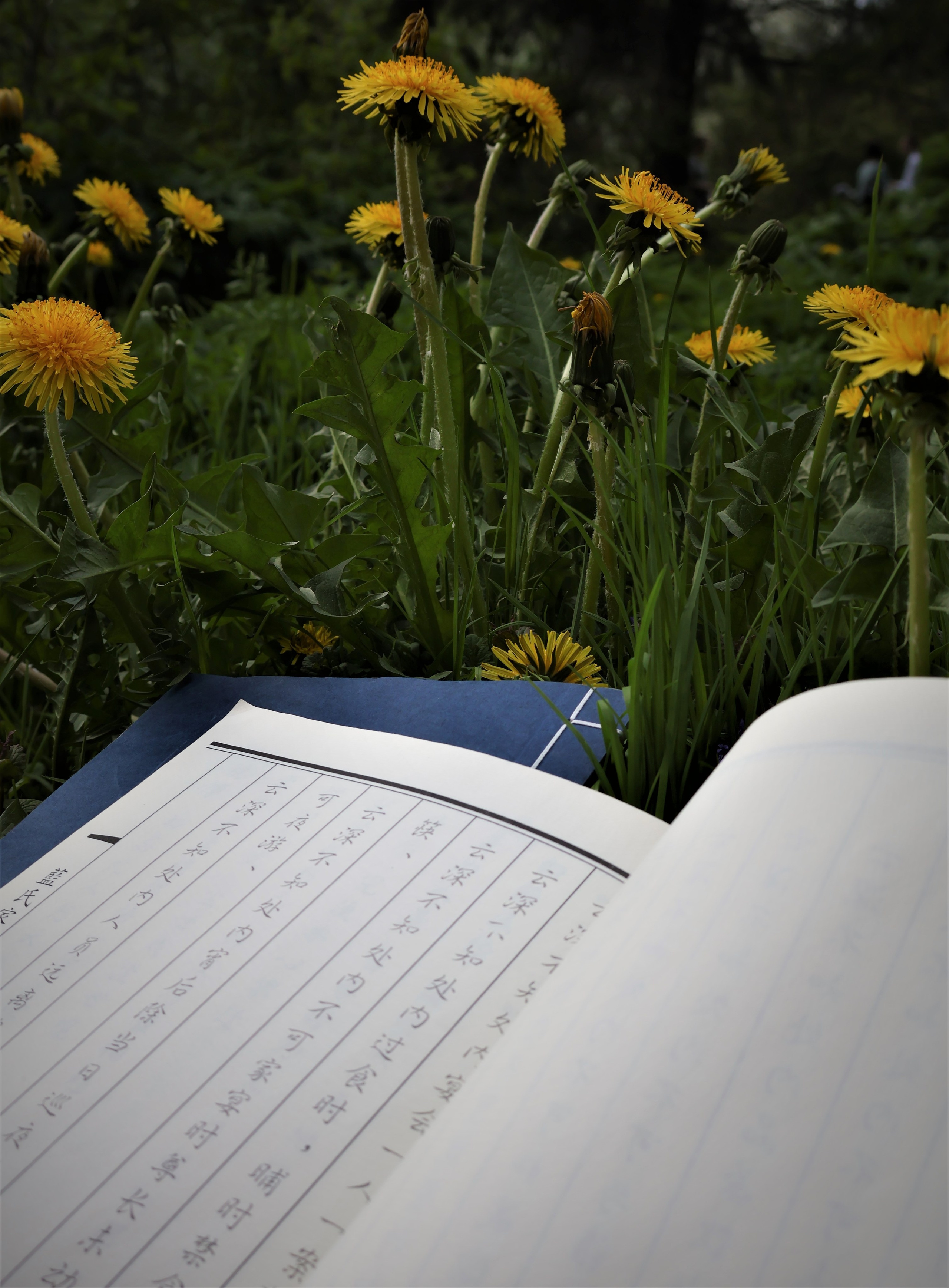 Портретный фотограф в Екатеринбурге — Наталья Кокарева