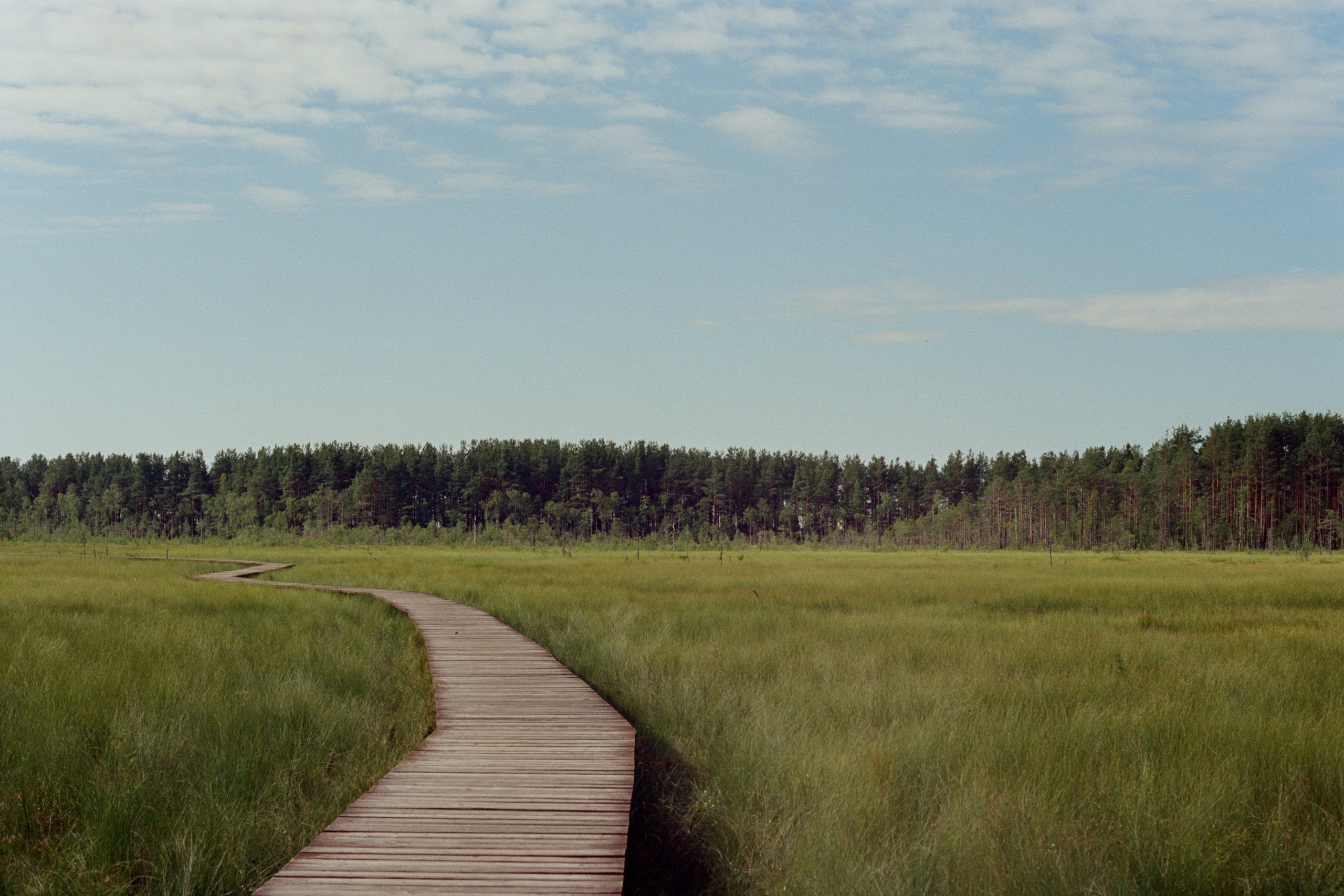 Film photos. Creative travel photographer — Berg Daria