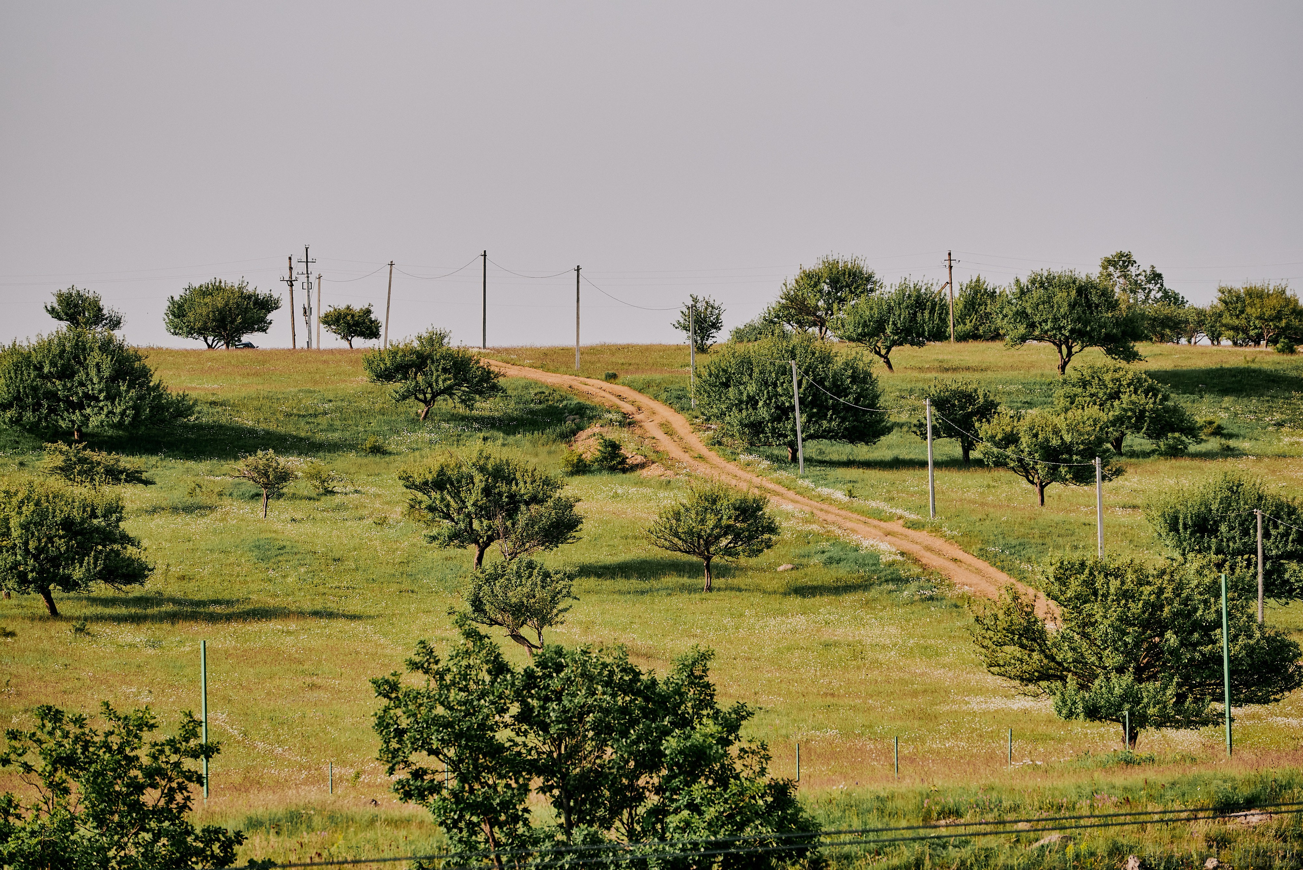 Trevel-тур с турфирмой «Команда Горький». Студия PHOTONEBO.RU