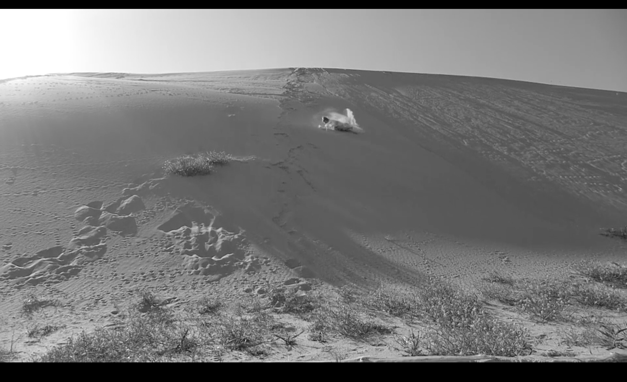 КУВЫРКОМ. Художественная группа «Нежные Бабы»