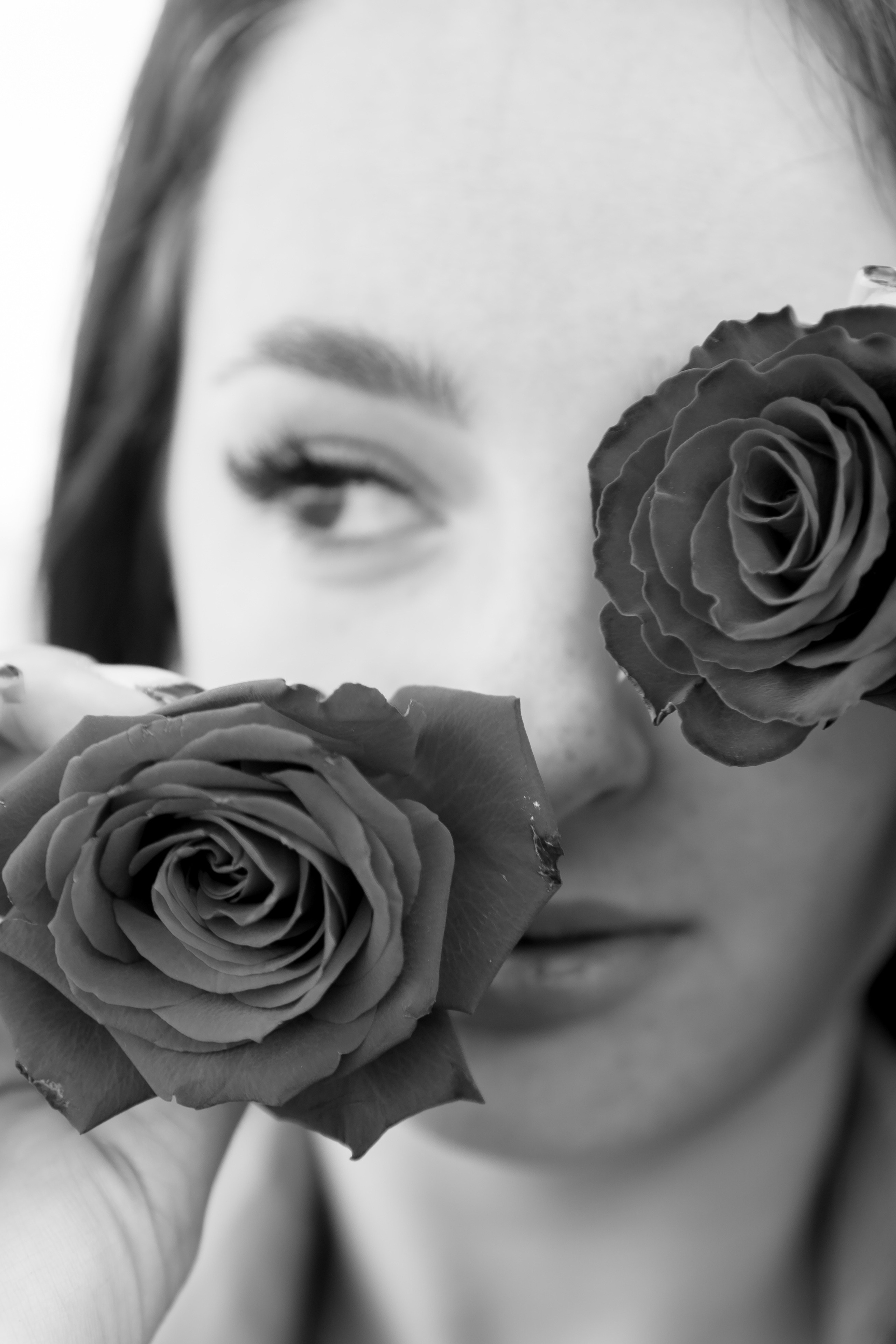 Розы. Профессиональный фотограф, Санкт-Петербург — Виктория Богомолова