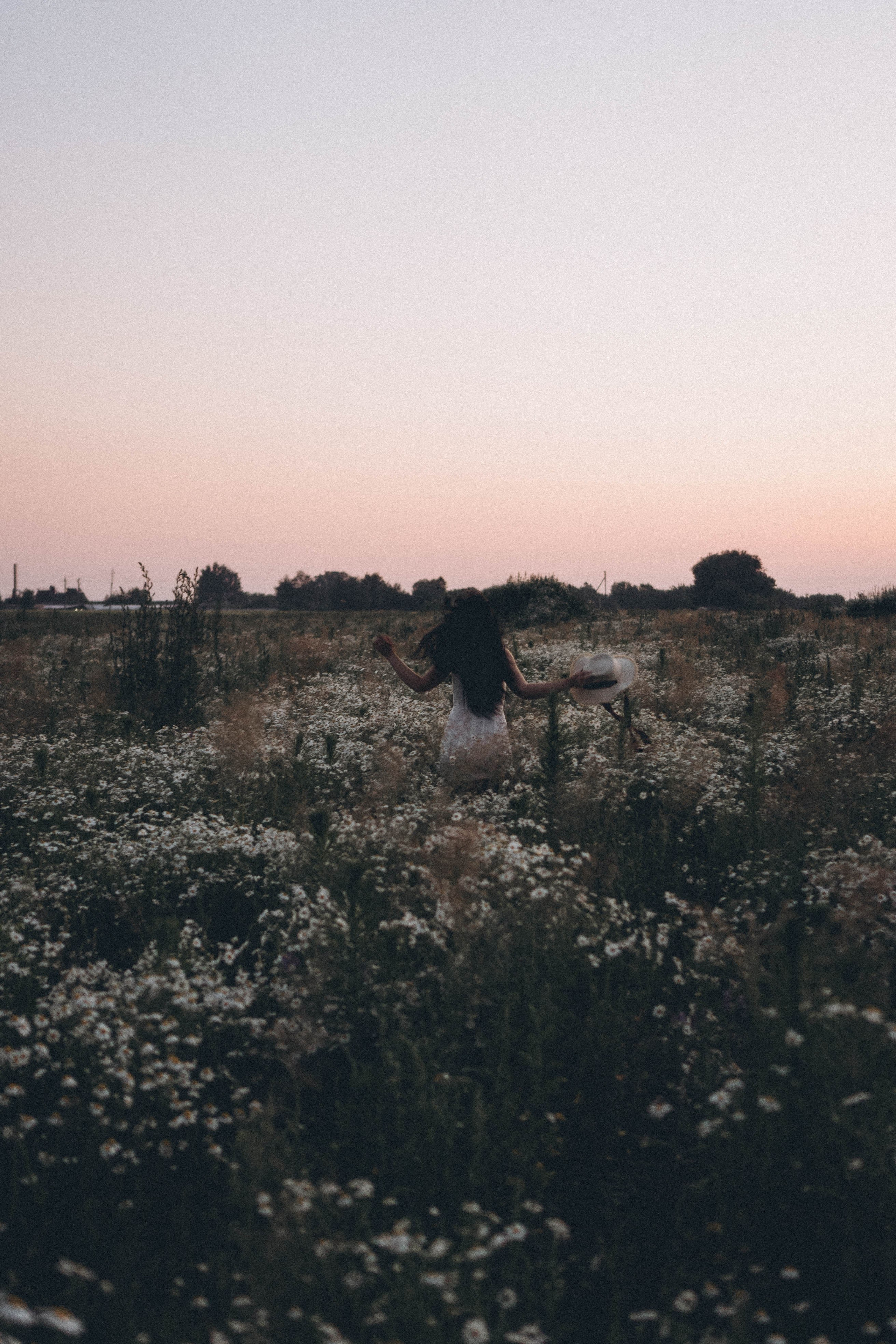 Ромашковое поле. Профессиональный фотограф, Санкт-Петербург — Виктория Богомолова