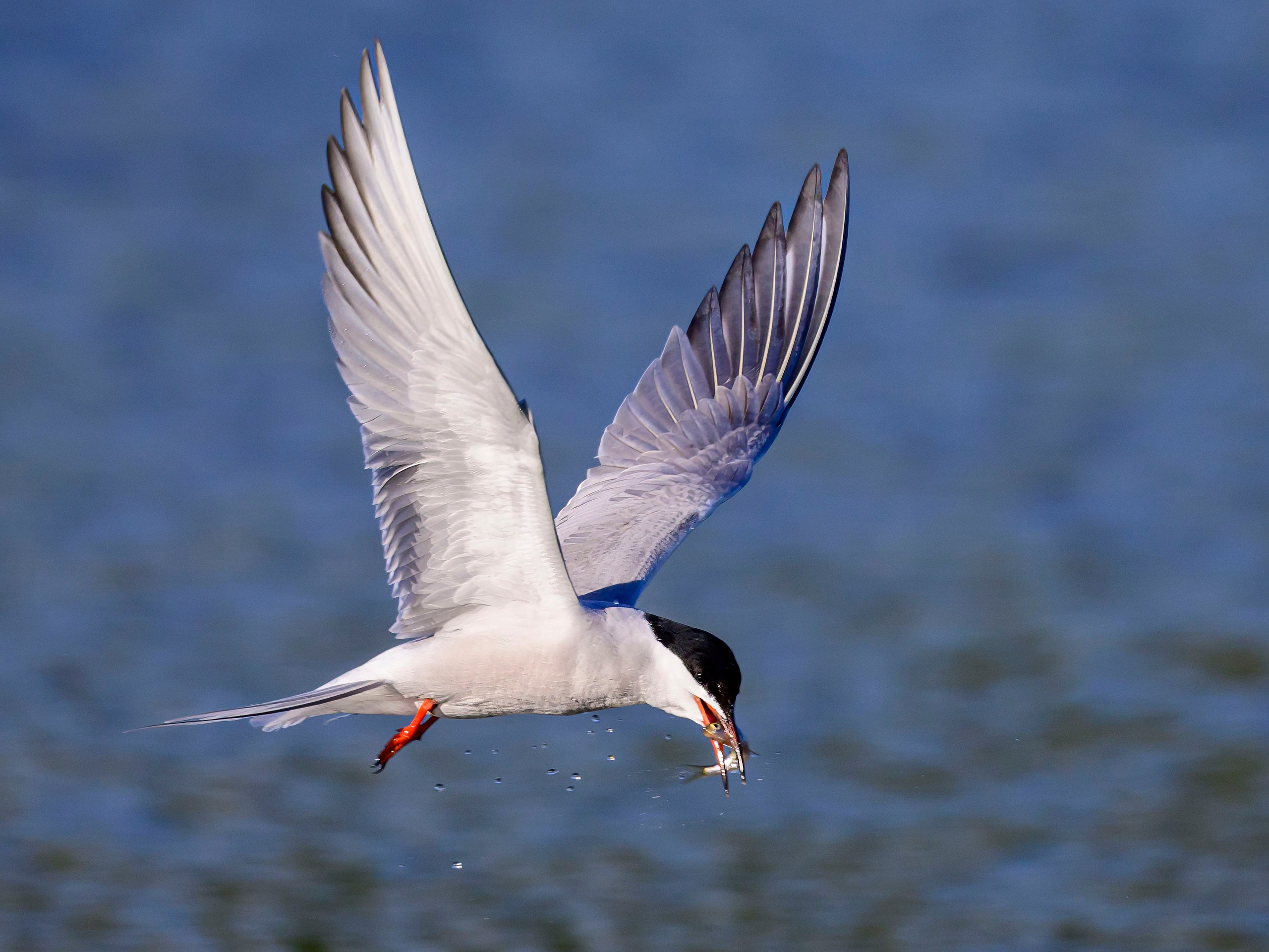 Дмитров. Фотограф Сергей Пупонин