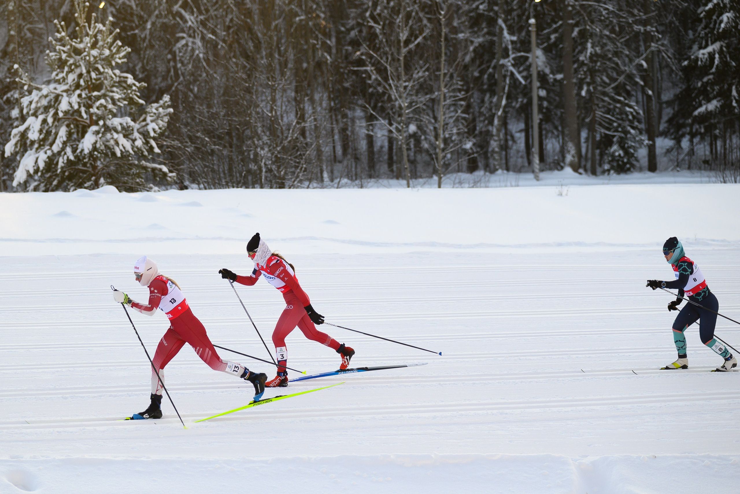 Лыжные гонки. Свадебный фотограф Ижевск Петр Шишков