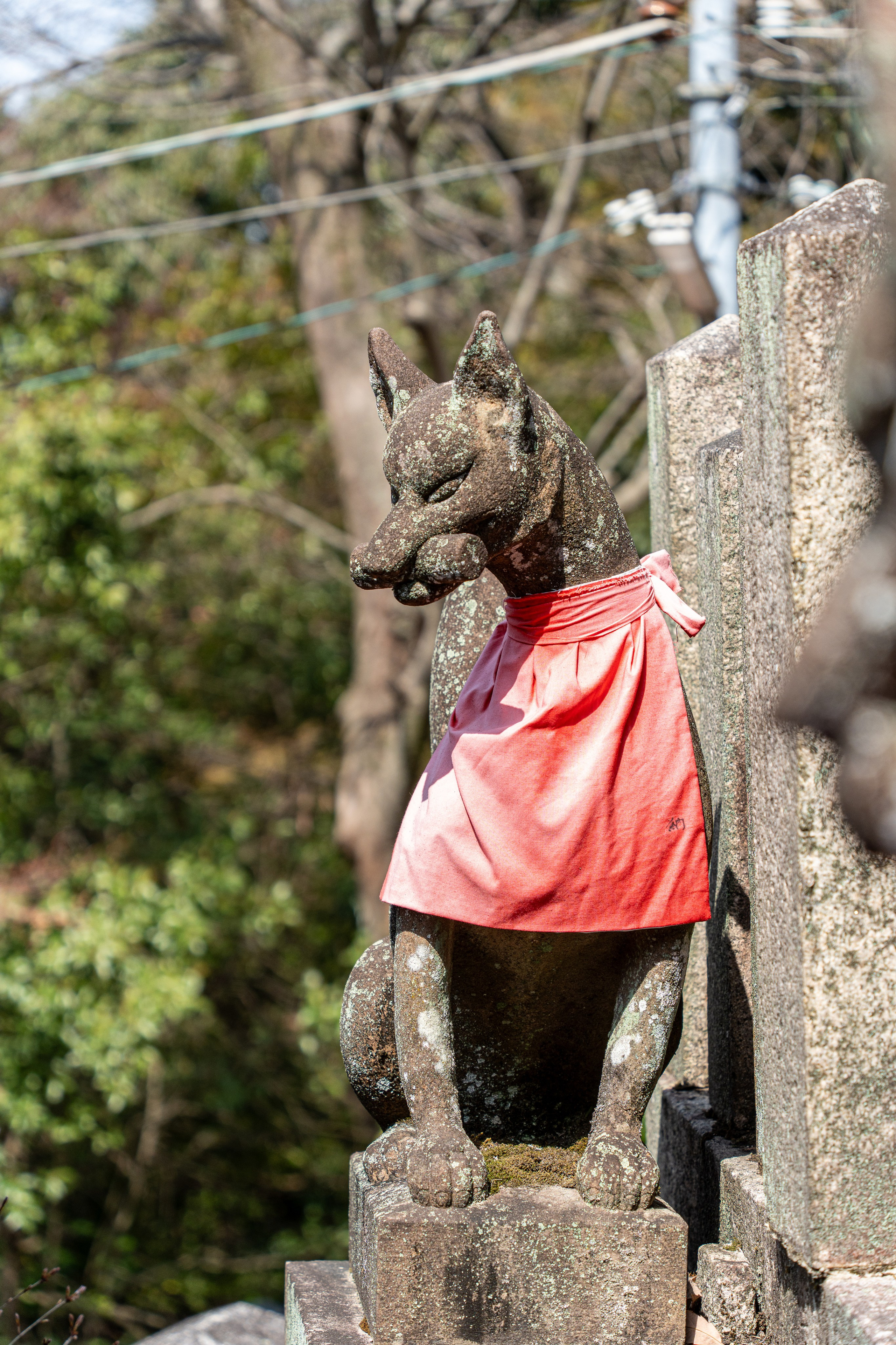 Япония, сакура. Творческие сьемки