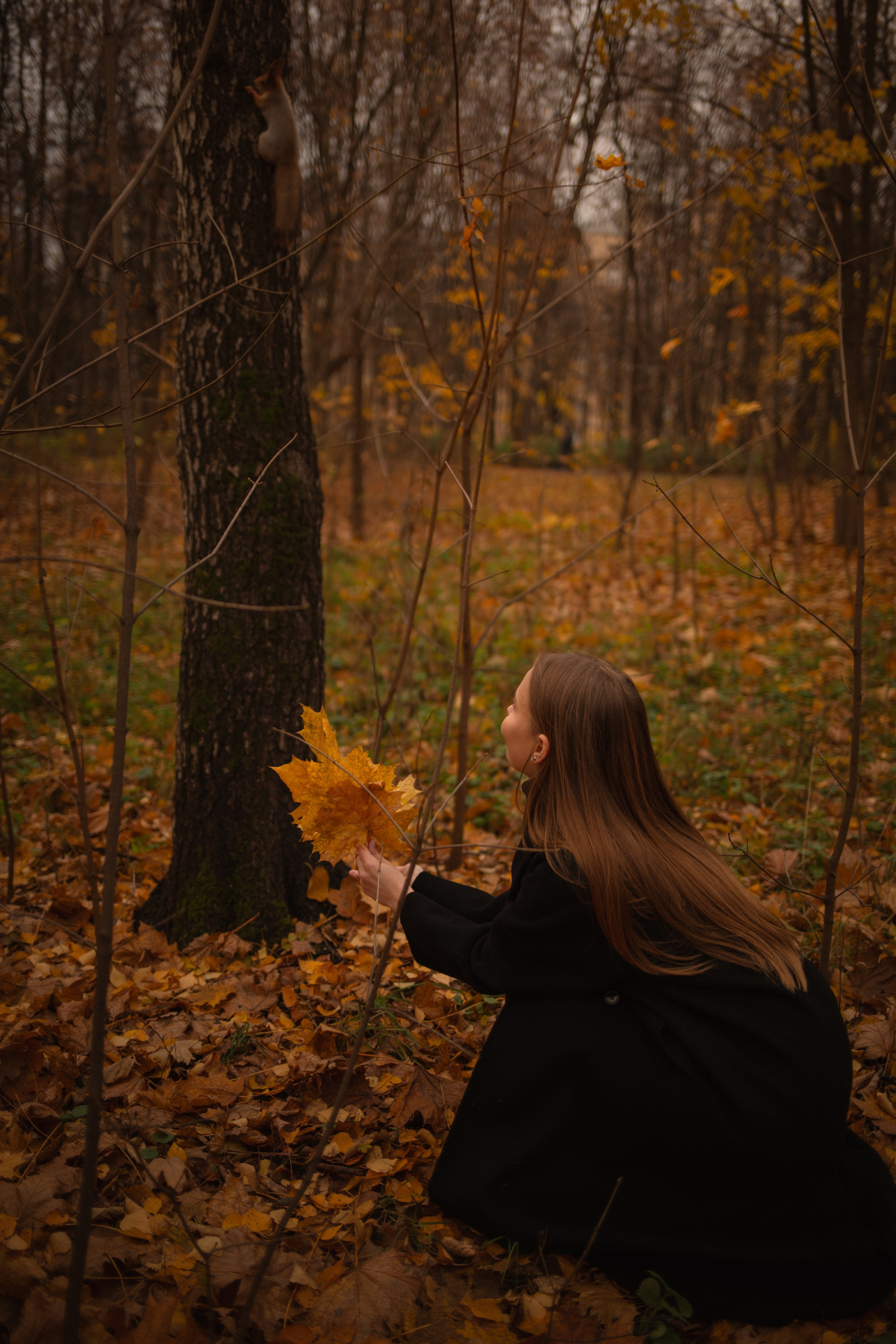 Альбом2. Фотограф Мария Сургаева | Профессиональная фотосъемка в Москве