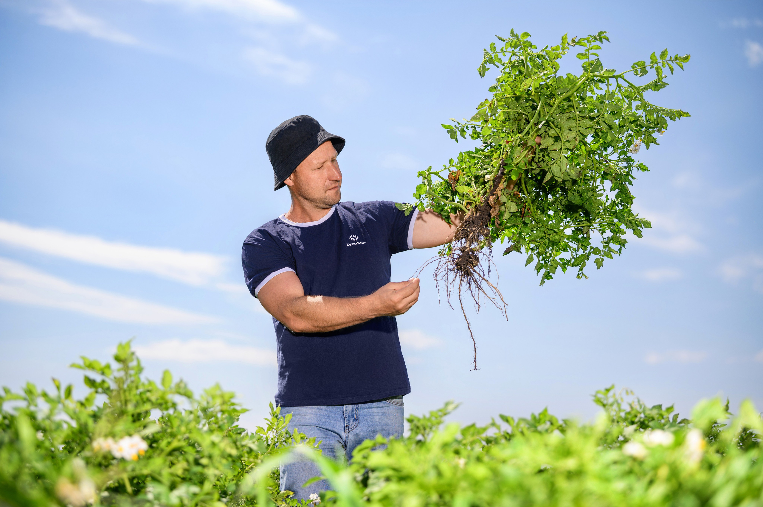Проекты. Профессиональный фотограф Вячеслав Плацында | Липецк |