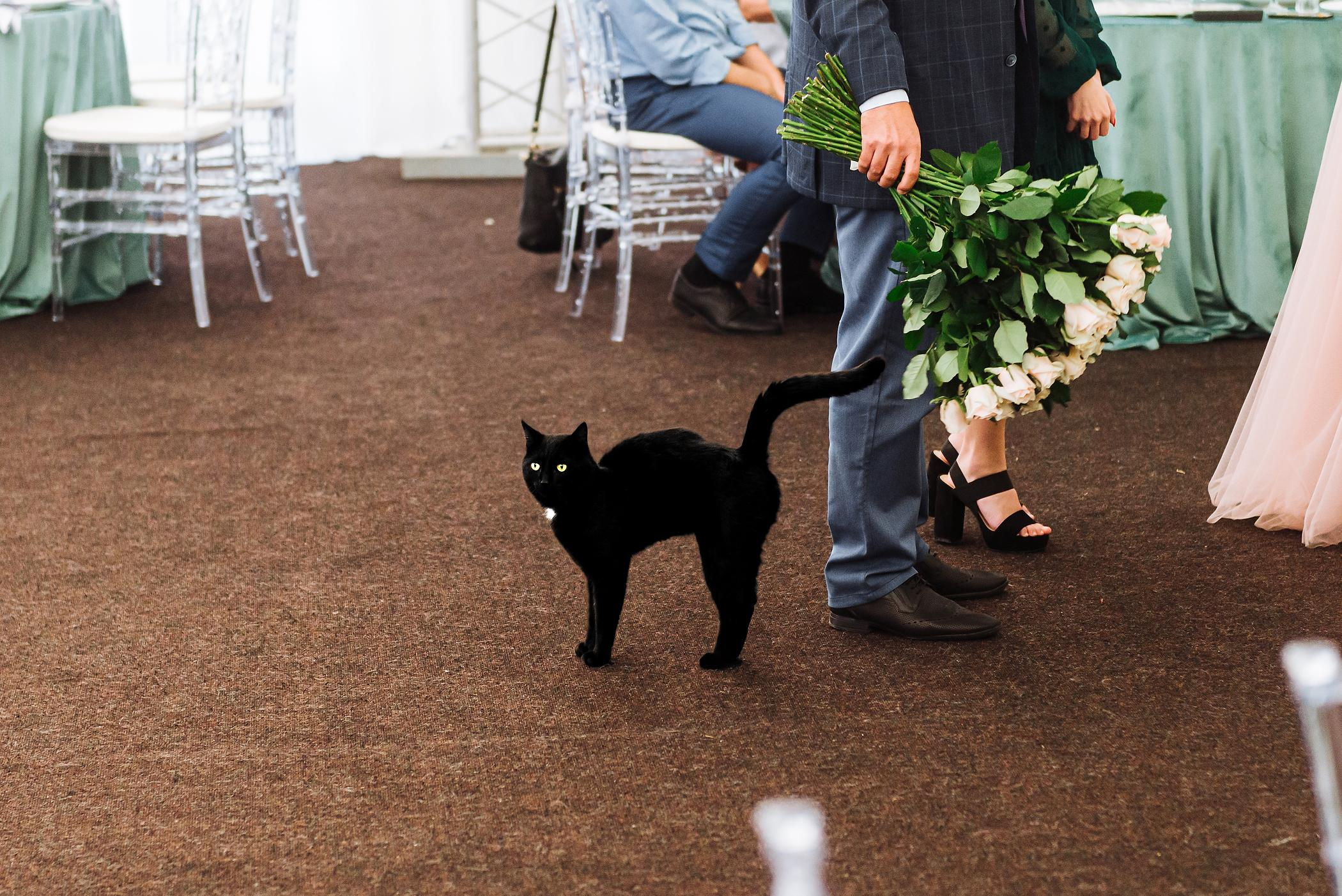 Свадебный фотограф Москва Питер Екатеринбург Антон Матвеев https://www.instagram.com/toha.matveev/