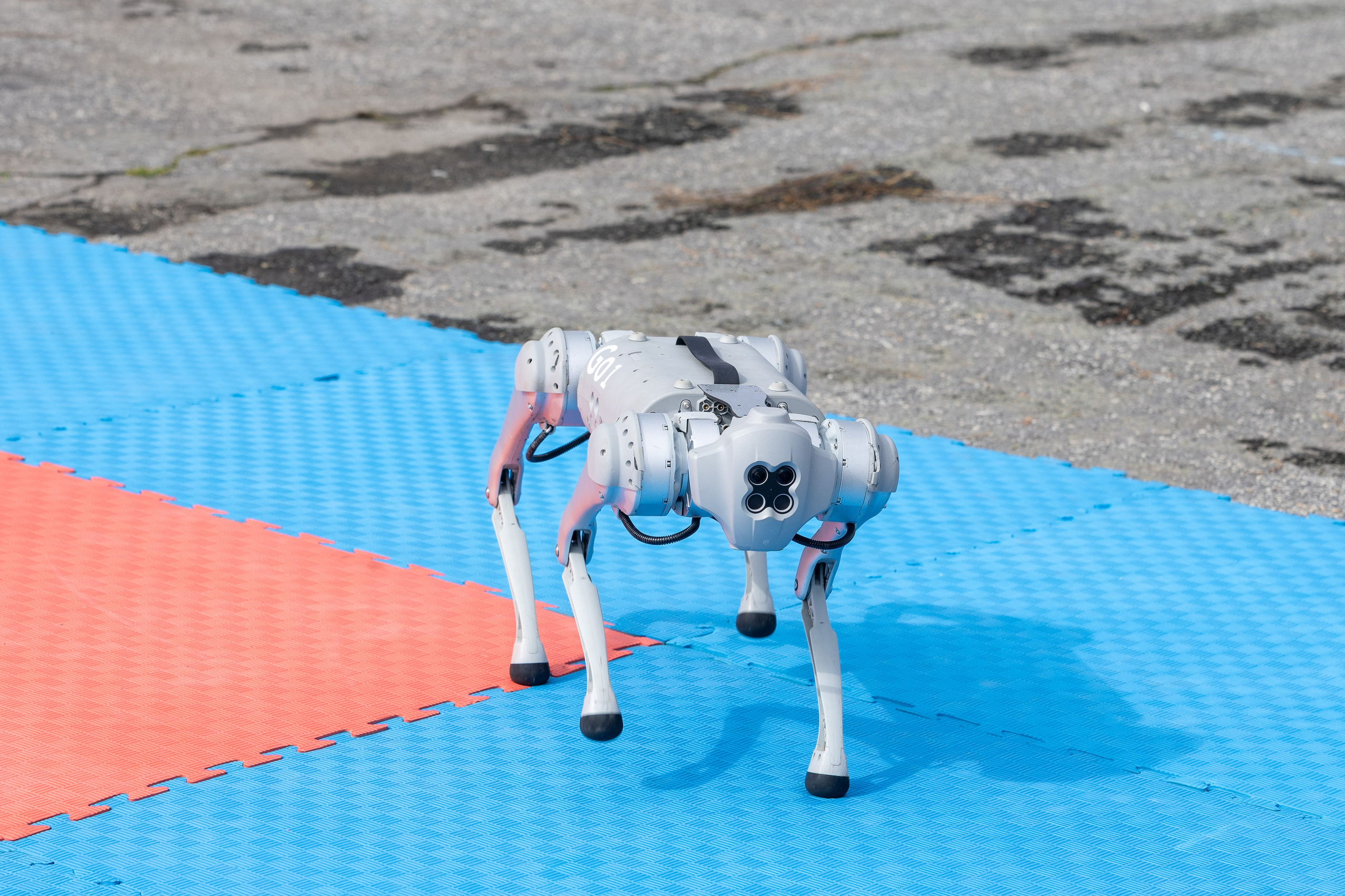 Фото и видео бизнес-проектов. Свадебный, семейный видеограф и фотограф в Екатеринбурге Николай Рыков