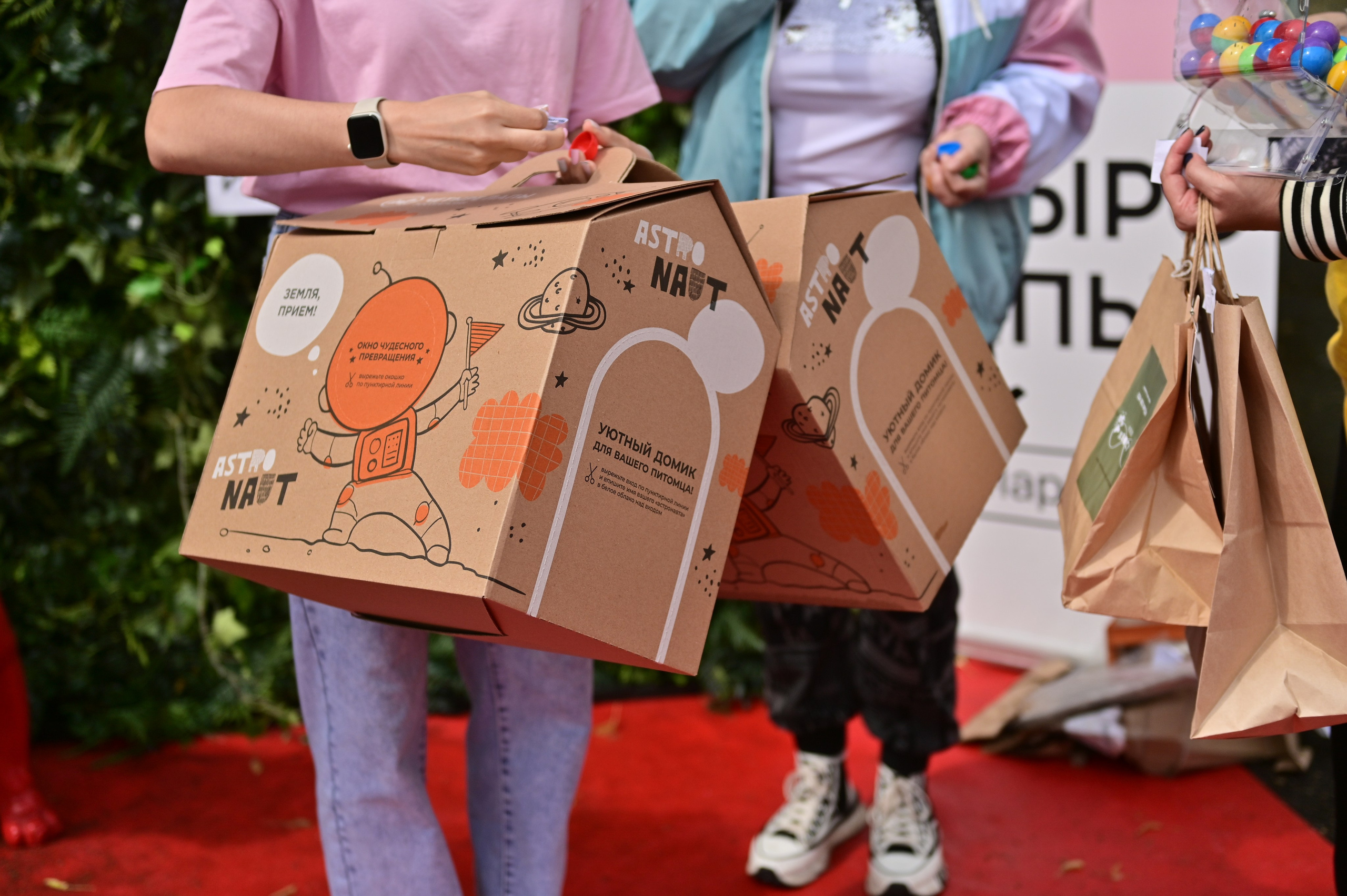 Парад французский бульдогов. Анна Пушина, фотограф, Москва, Королев, Пушкино