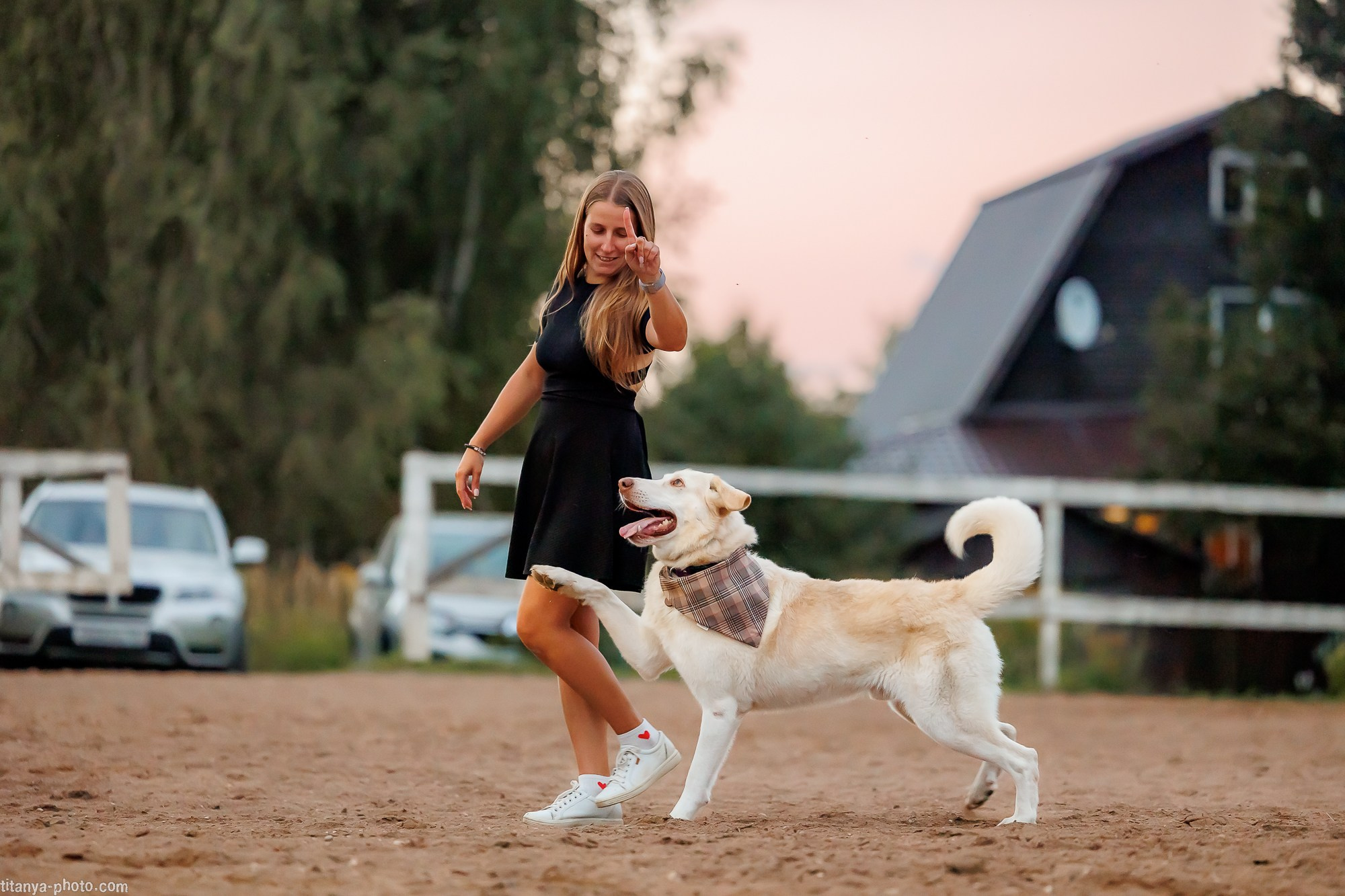 Закатная семейная фотосессия: про Настю и её дружную семью. Фотограф собак, фотограф-анималист Аня Титова (Titanya). Москва