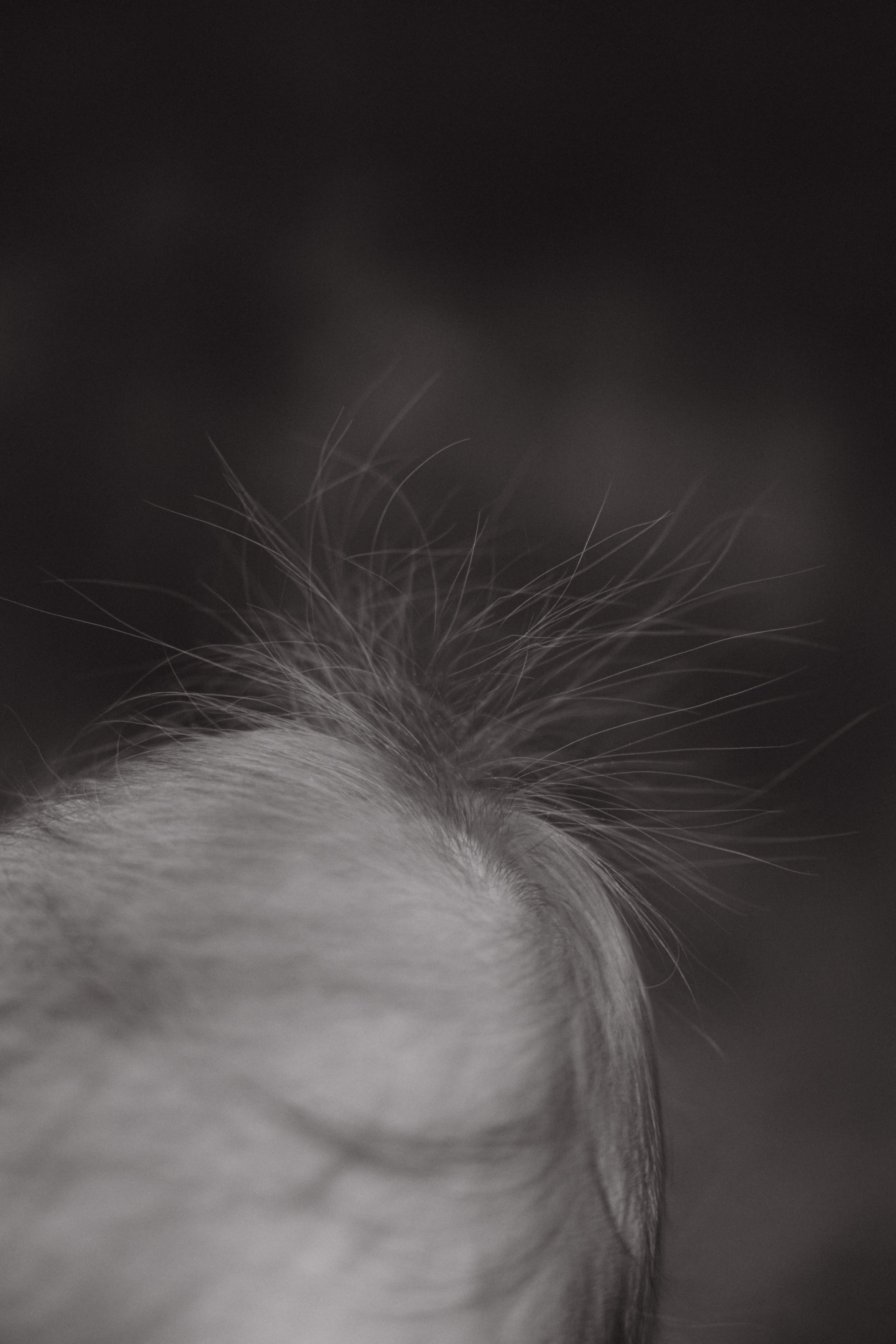 Катя, Рома, Ева и Лика. Фотограф Мария Миллс | Минск