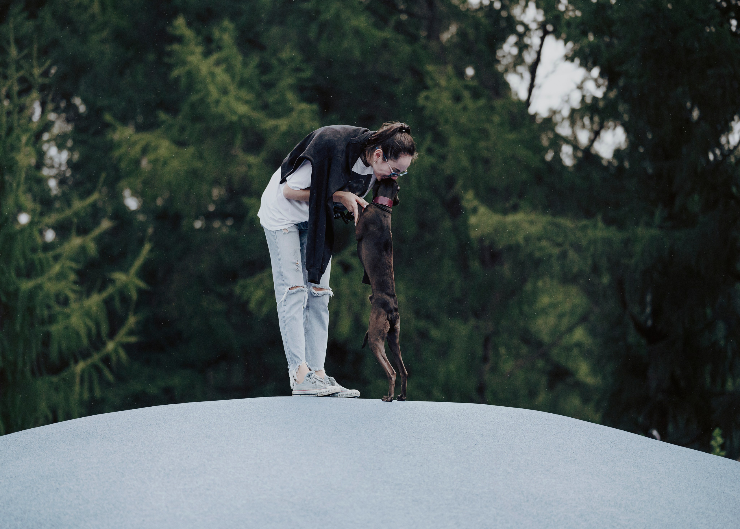 Дофи. Фотограф- анималист Александра Матвеева