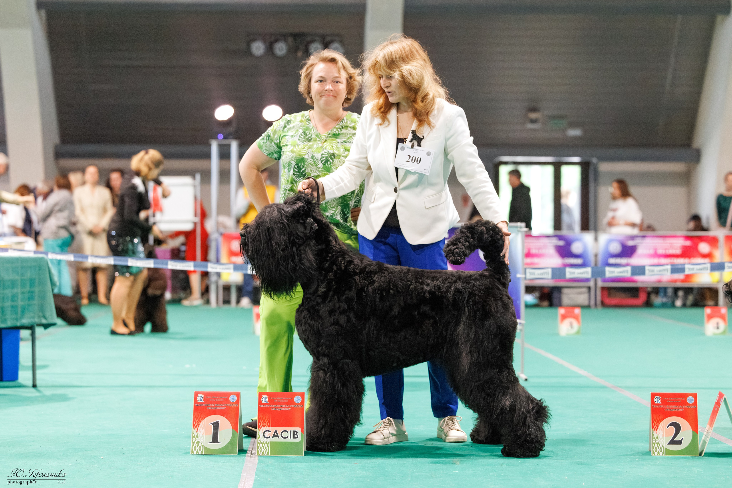 Минск 31.05-1.06.2025. Фотограф-анималист Юлия Германика
