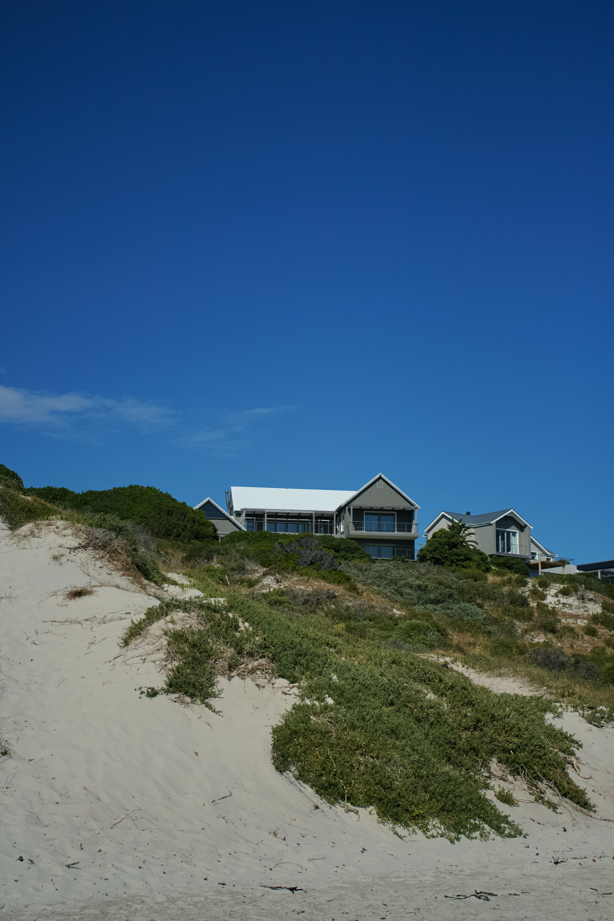 ЮАР. Профессиональный Фотограф во Владимире, в Москве и в Суздале — Полина Романычева