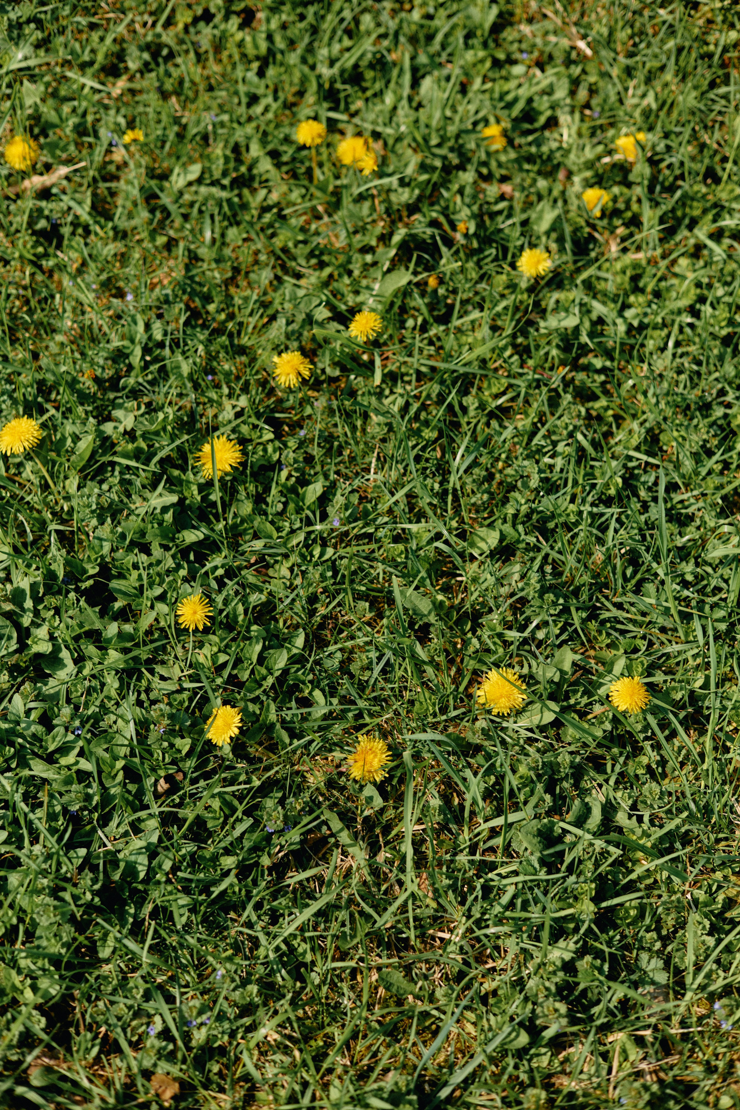 Бутик-отель Поле летом. Профессиональный Фотограф во Владимире, в Москве и в Суздале — Полина Романычева