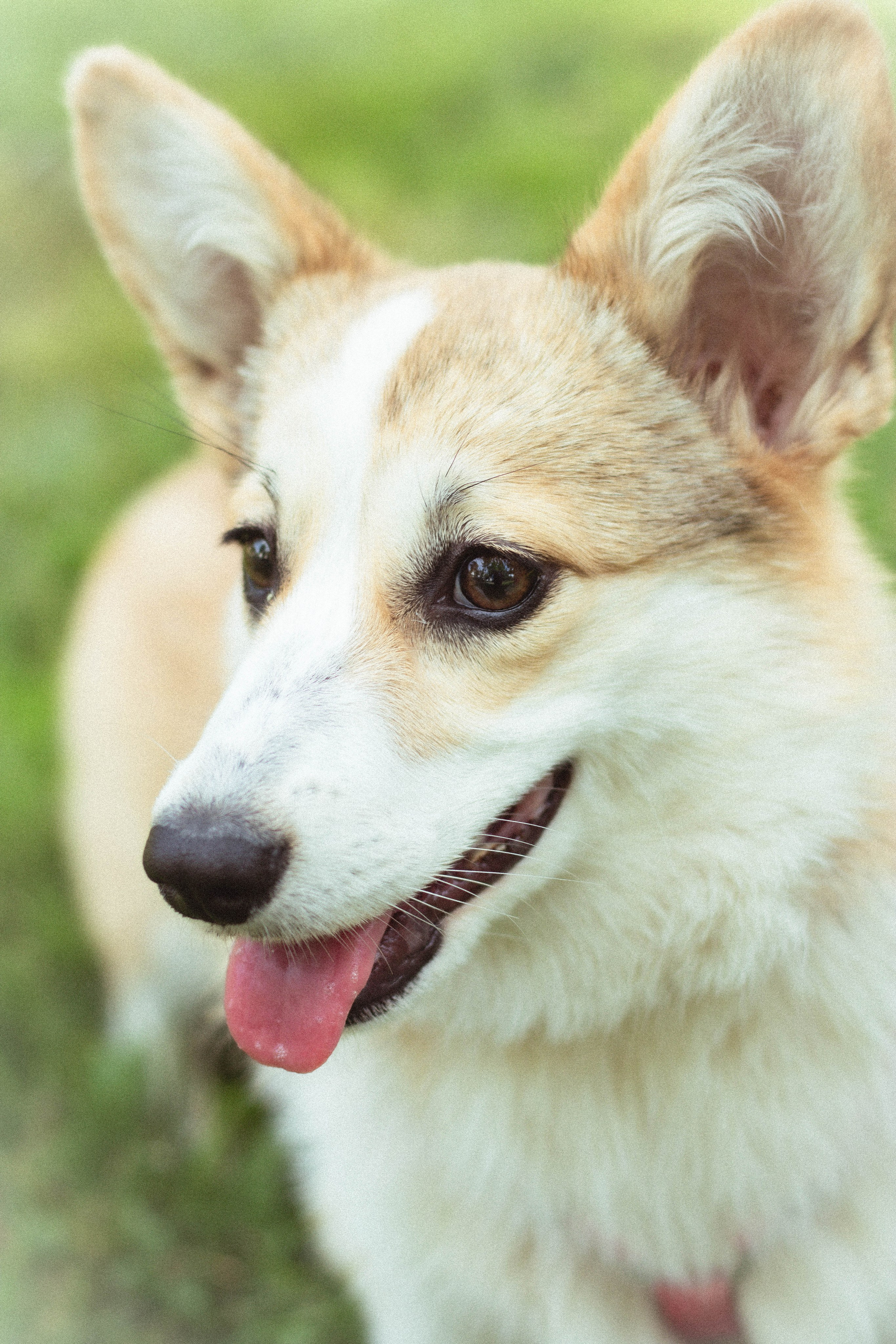 Таня и Джесси. Фотограф из Краснодара