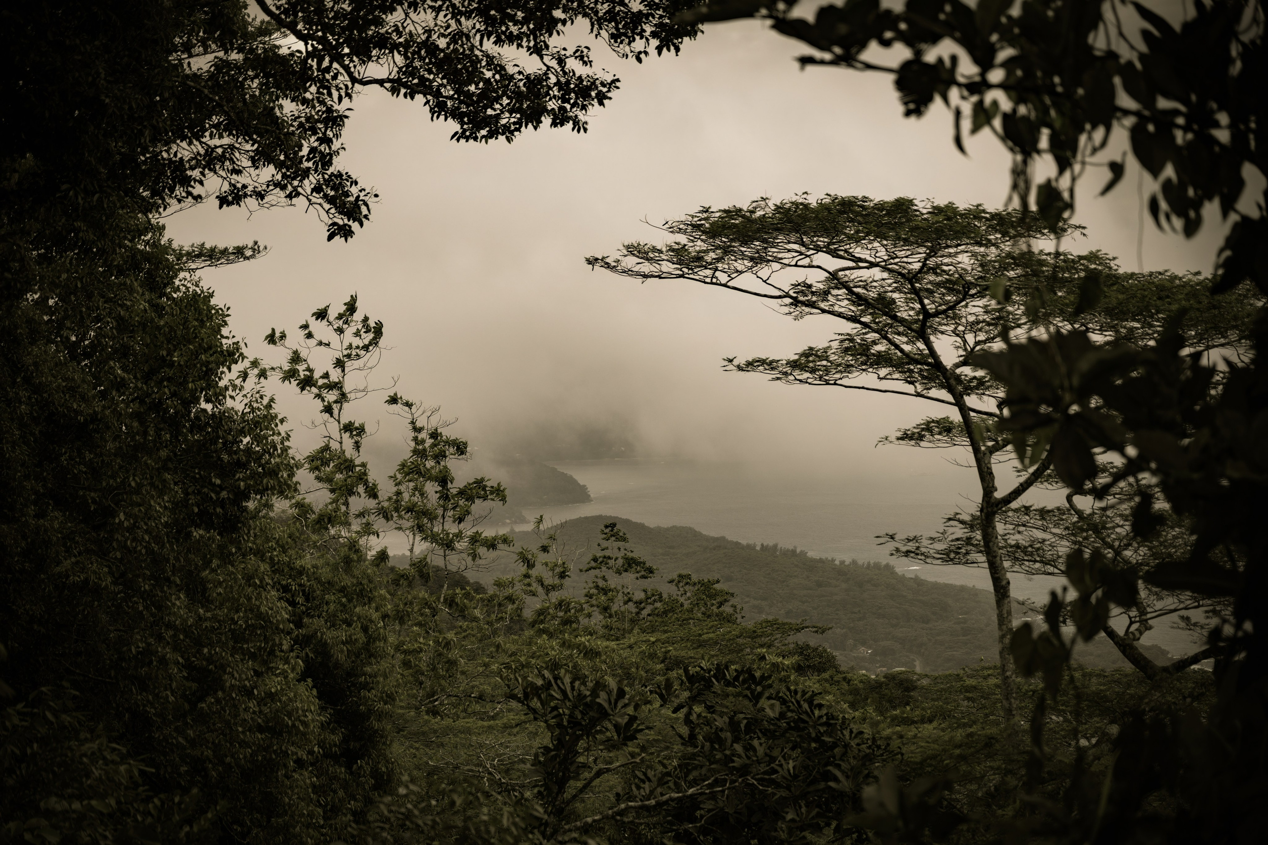 Сейшелы и Дубай 2024. Легкая фотография