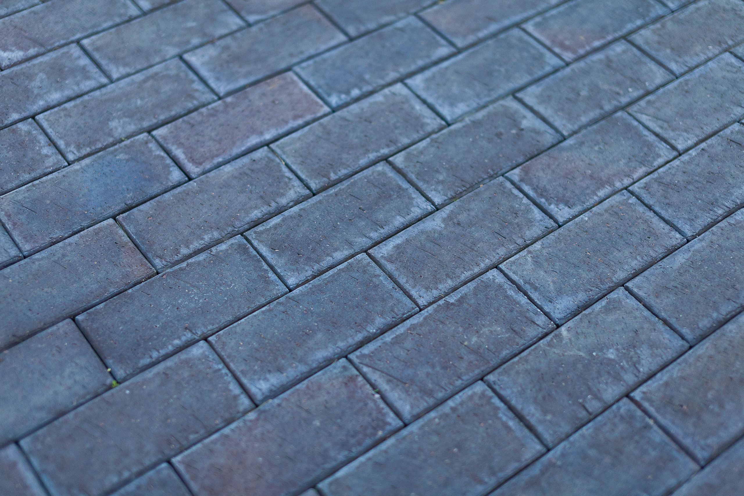 Ландшафт. Новый год 2026