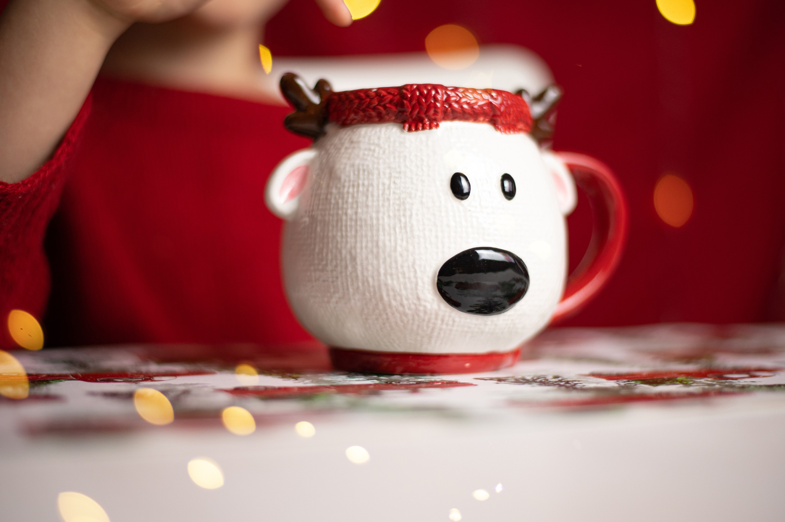 Какао с маршмеллоу. Фотограф Санкт-Петербург | Дарья Першина