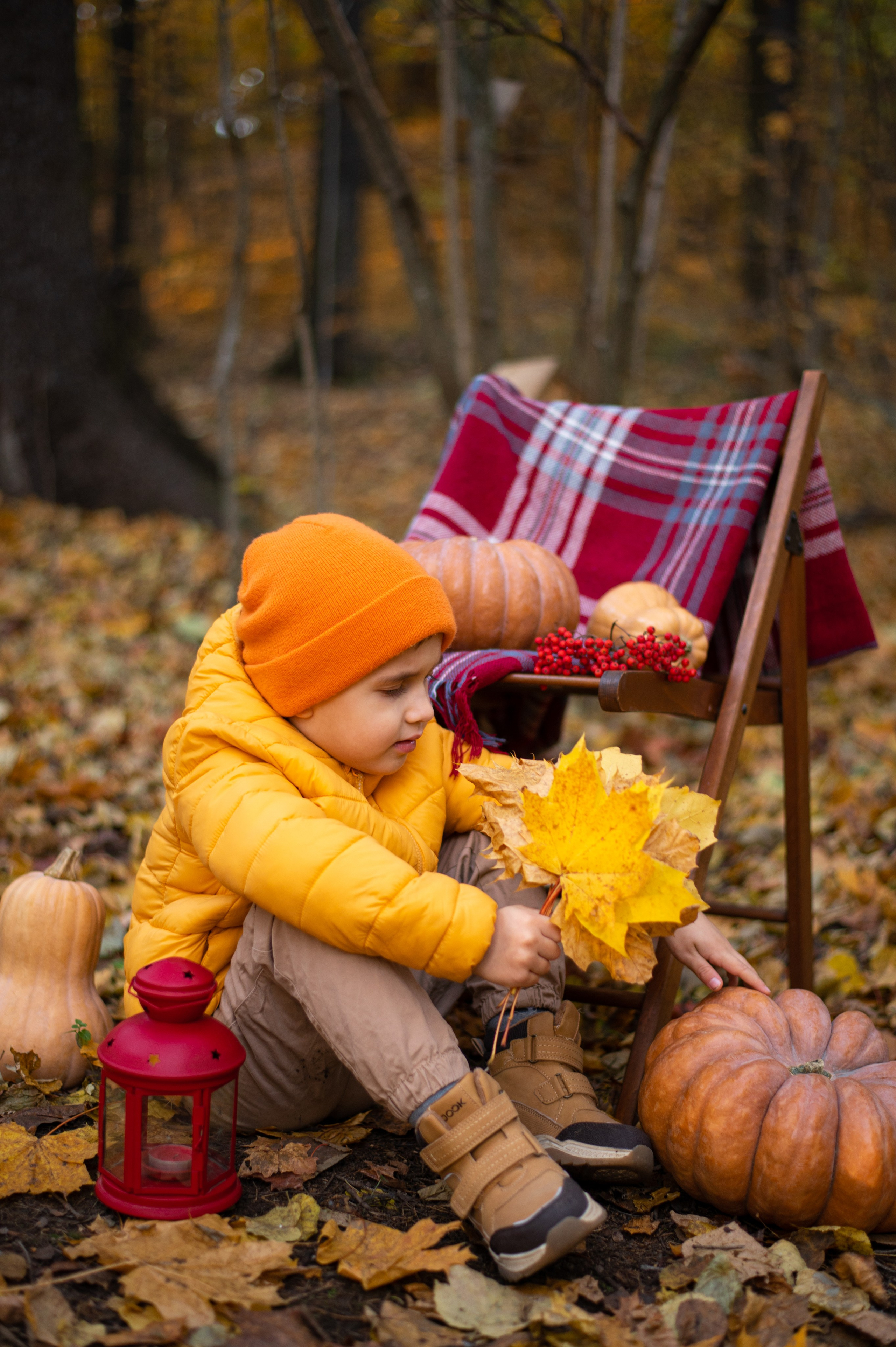 Осень в Шуваловском парке. Фотограф Санкт-Петербург | Дарья Першина
