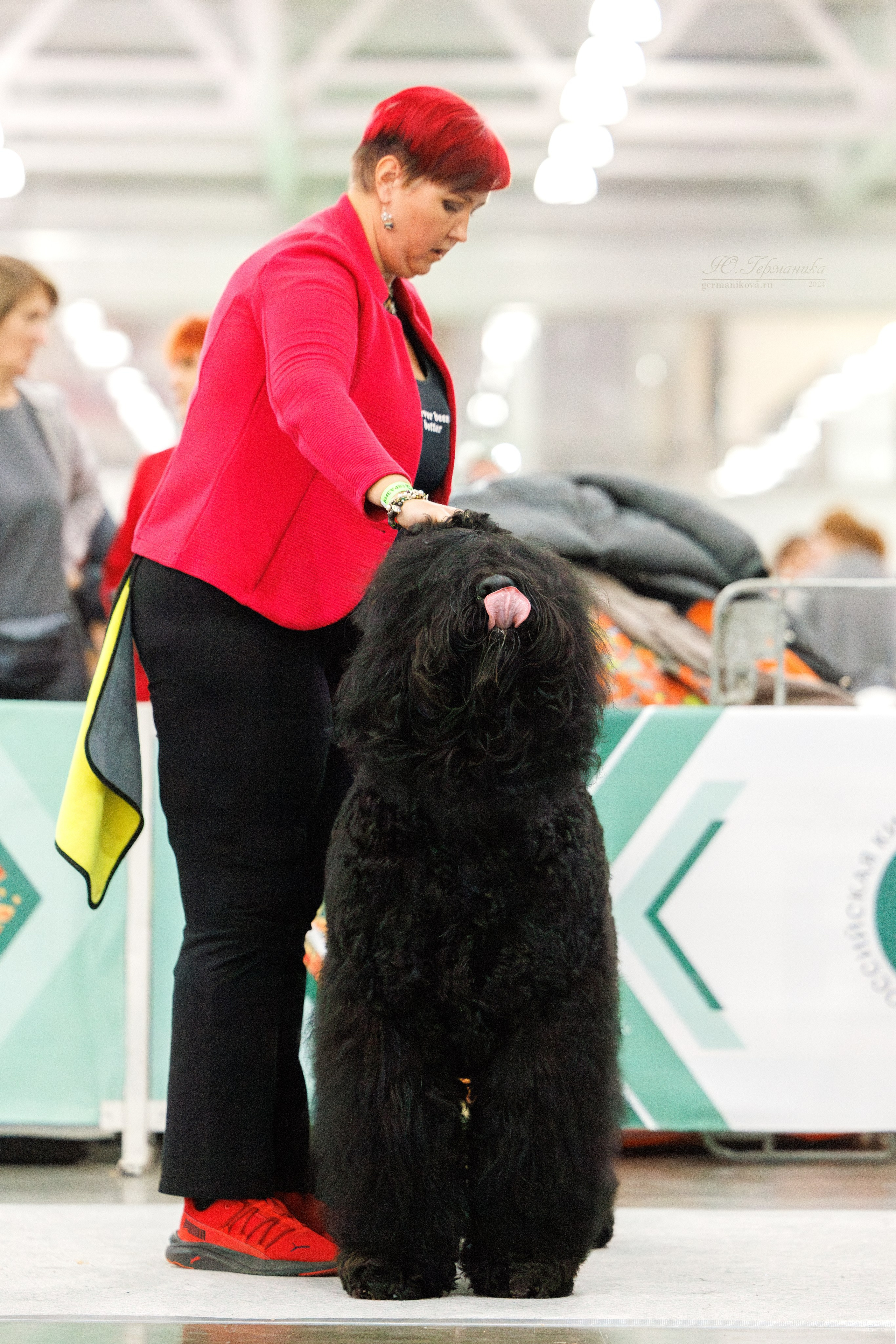 Евразия 16-17.11.2024. Фотограф-анималист Юлия Германика