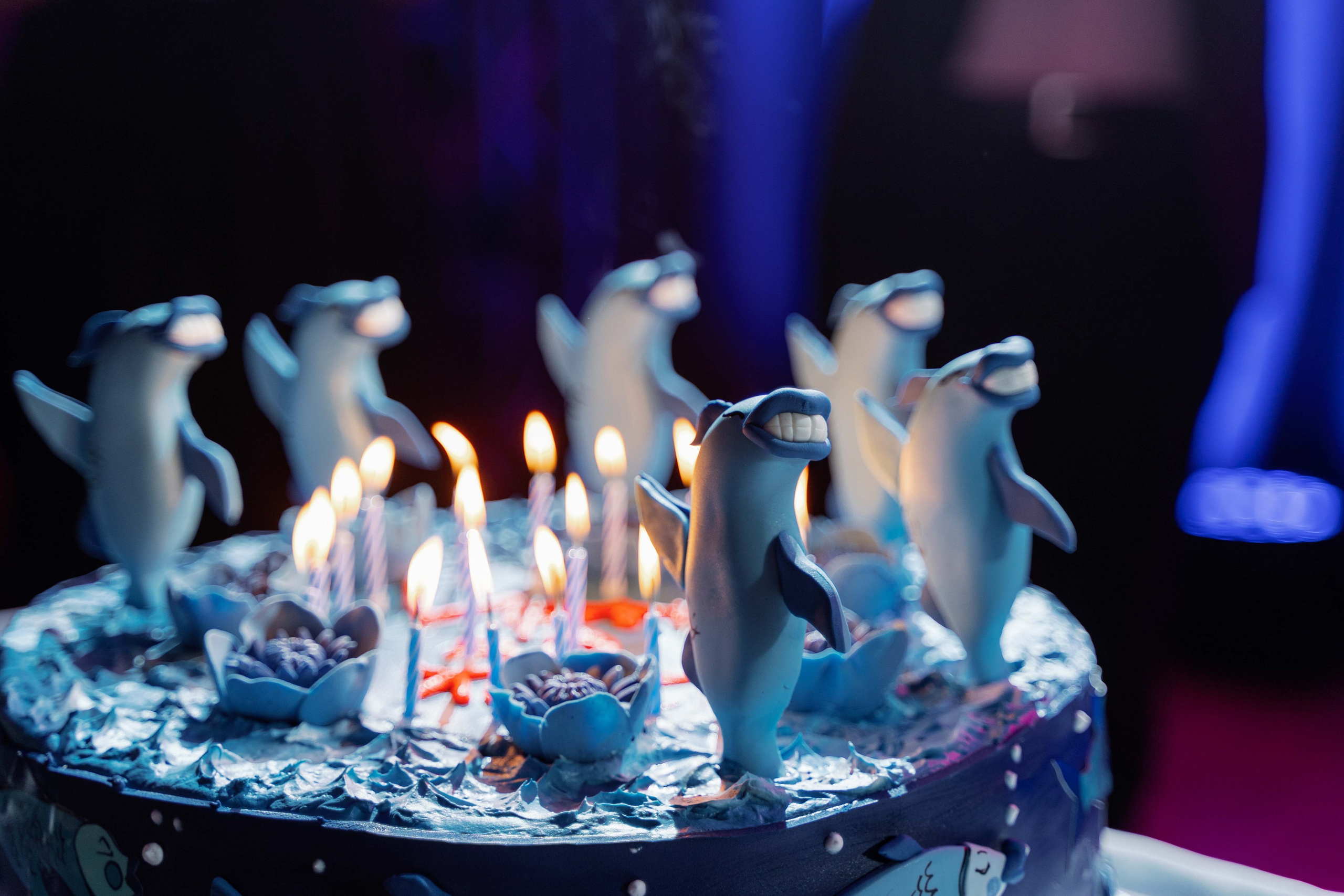 Корпоративный фотограф в Москве и Дубае. Фотограф и видеограф в Москве и Абу Даби Мария Кулагина