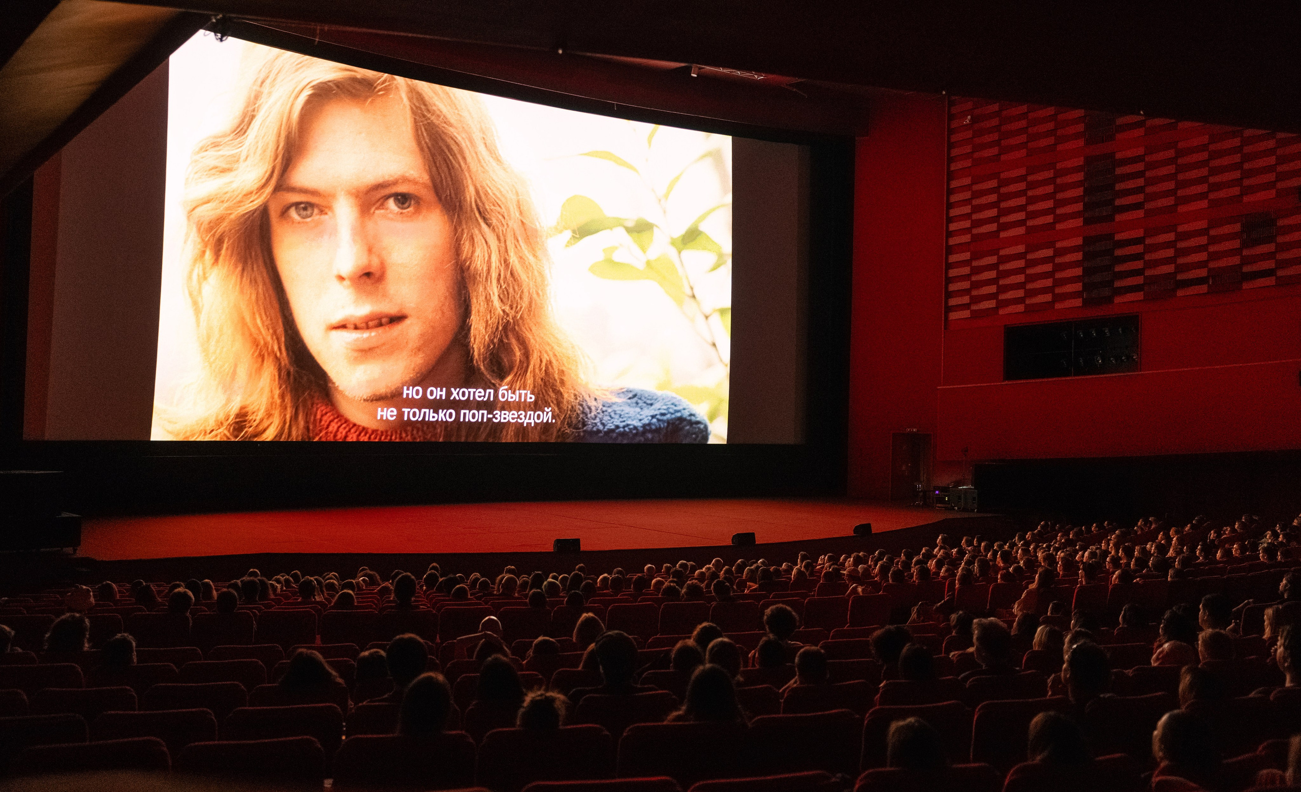 Beat Film Festival 2025. Портретный и ивент-фотограф в Москве Шамиль Хасянзанов