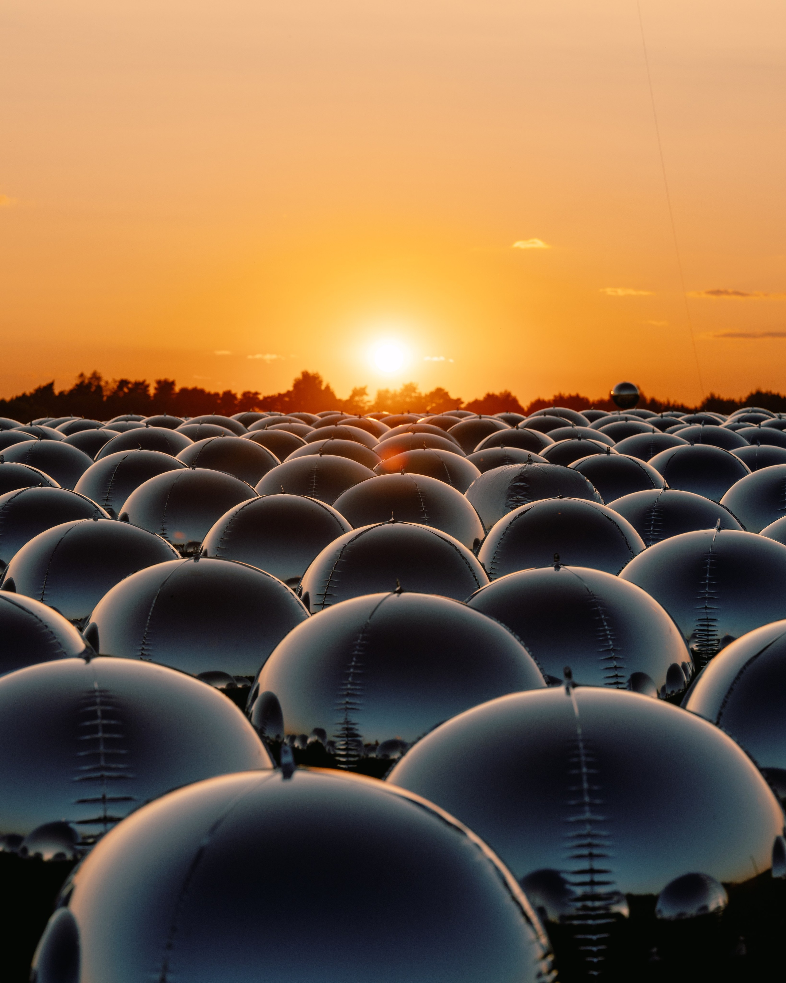 Signal 2024. @tomrus: Рустам Шагиморданов — фотограф