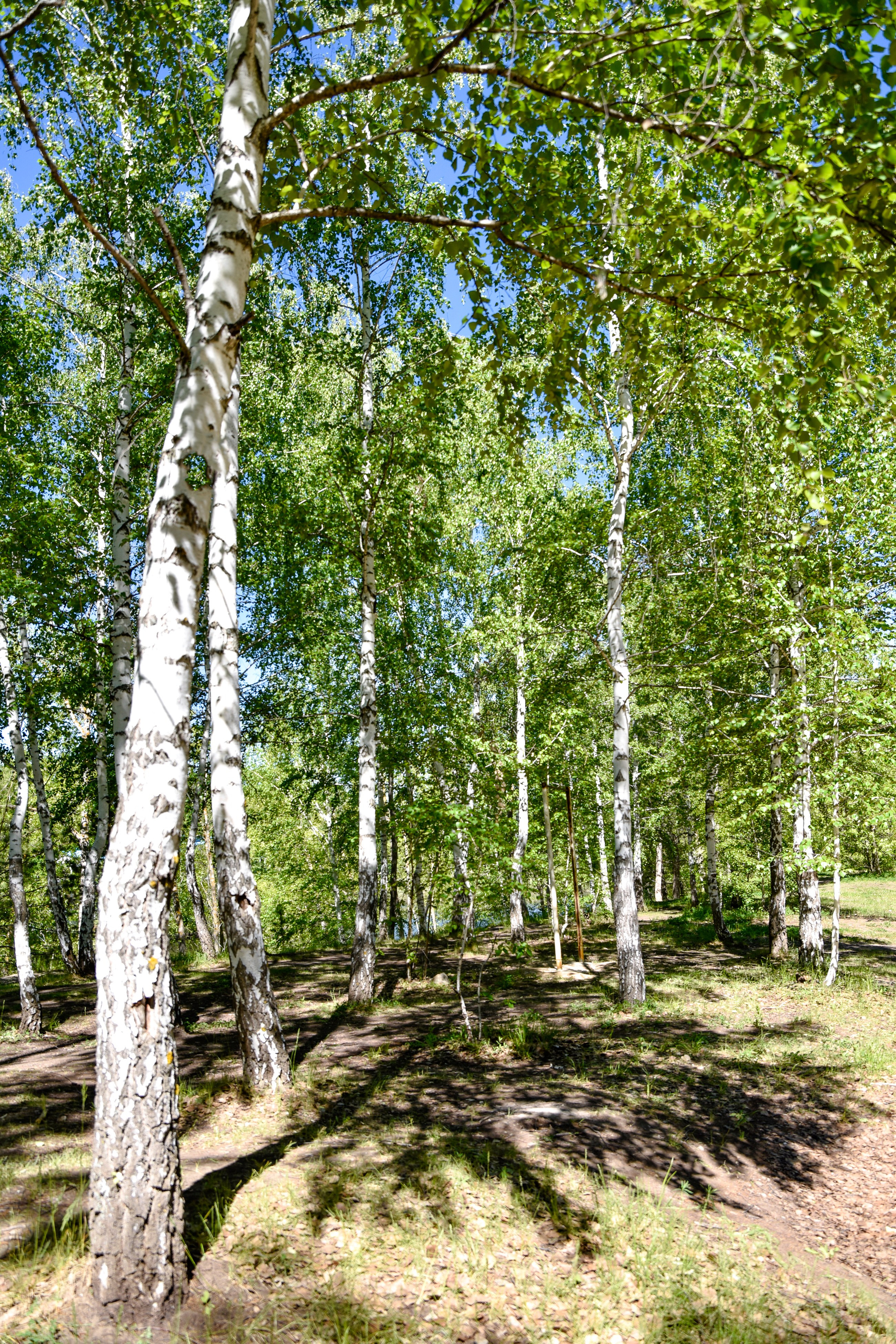 Рекламный тур по Святыням Самарского края 2 день